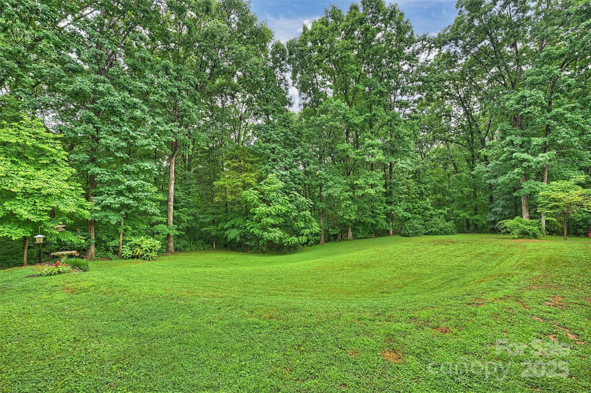 3017 Brooks Mill Lane 10