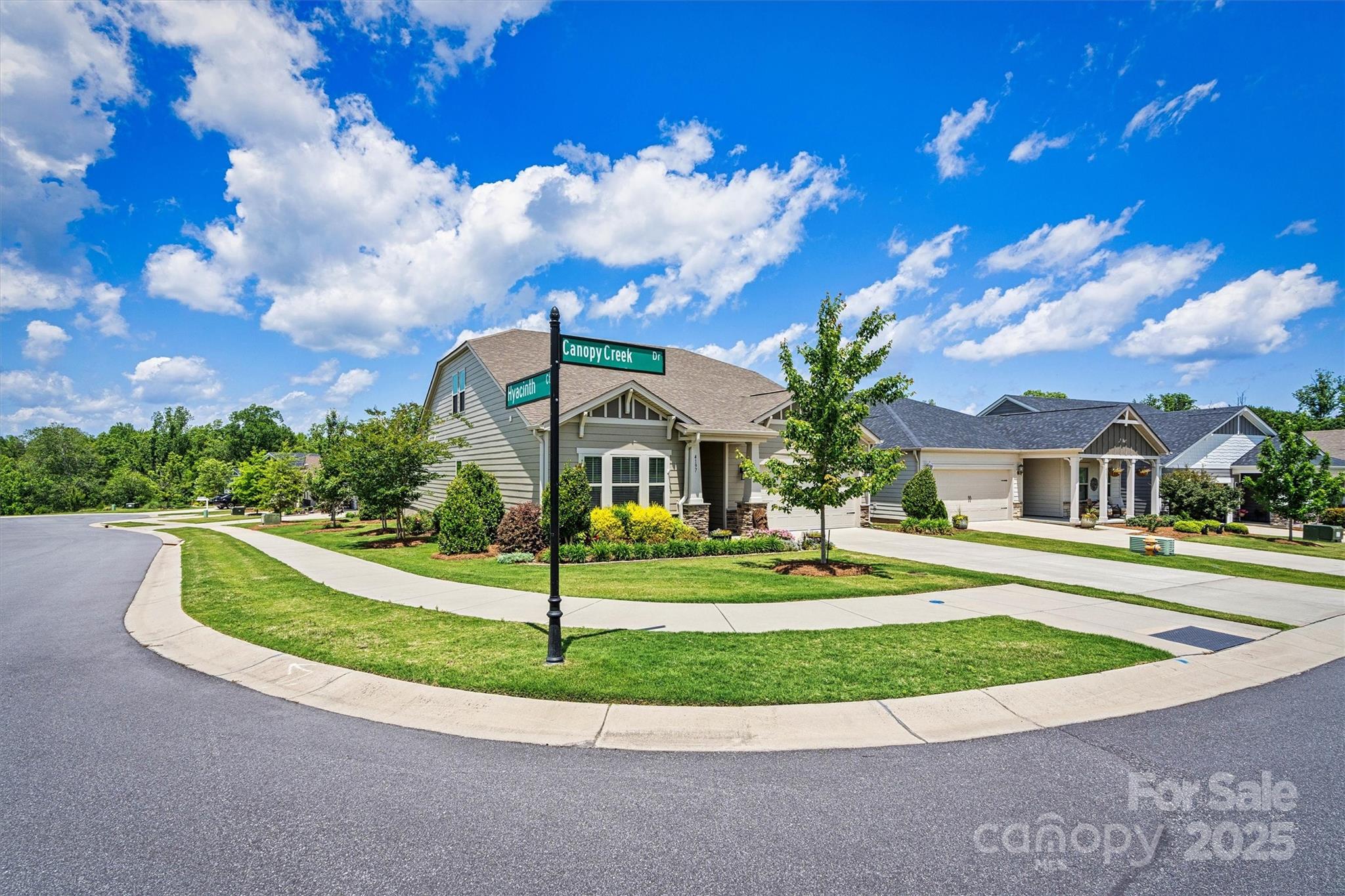 4197 Canopy Creek Drive