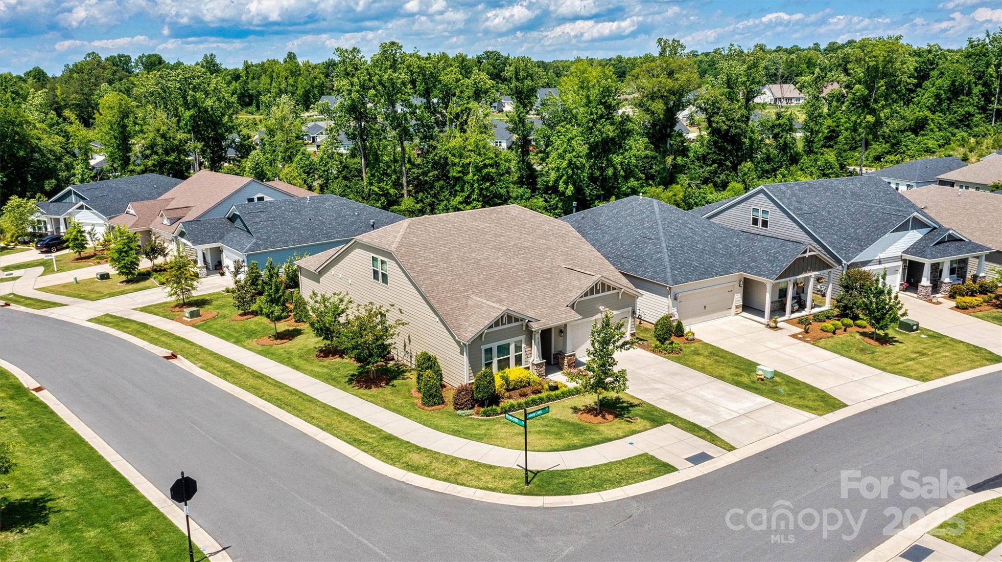 4197 Canopy Creek Drive