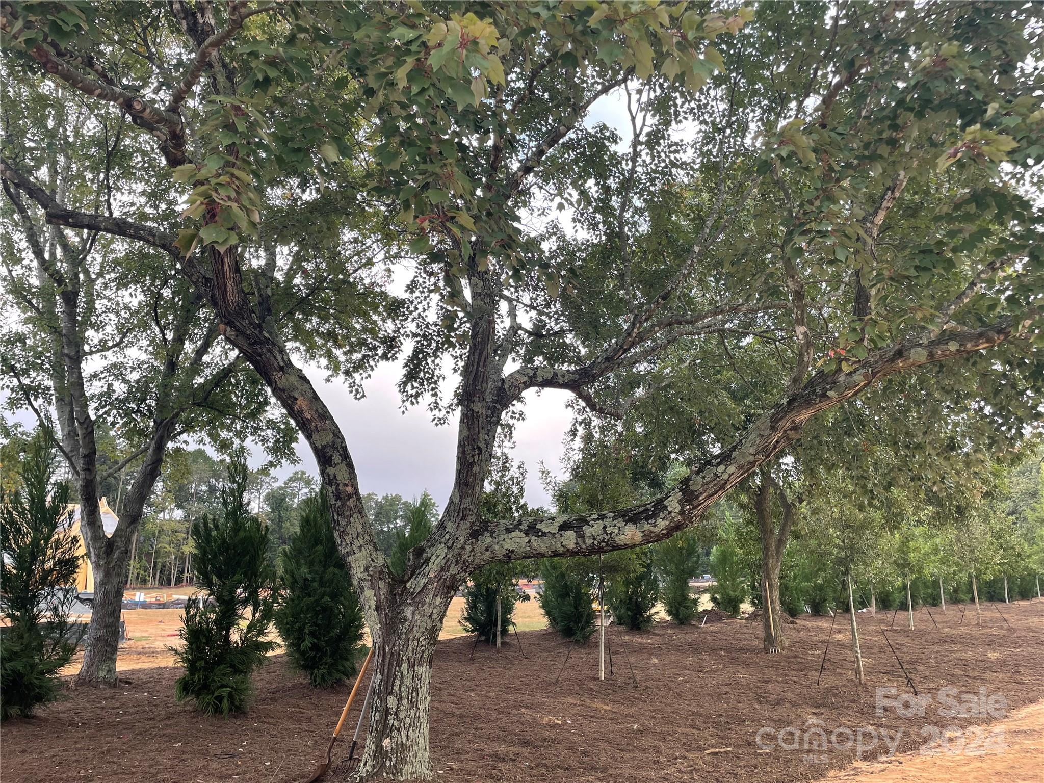 5704 Heirloom Crossing Court