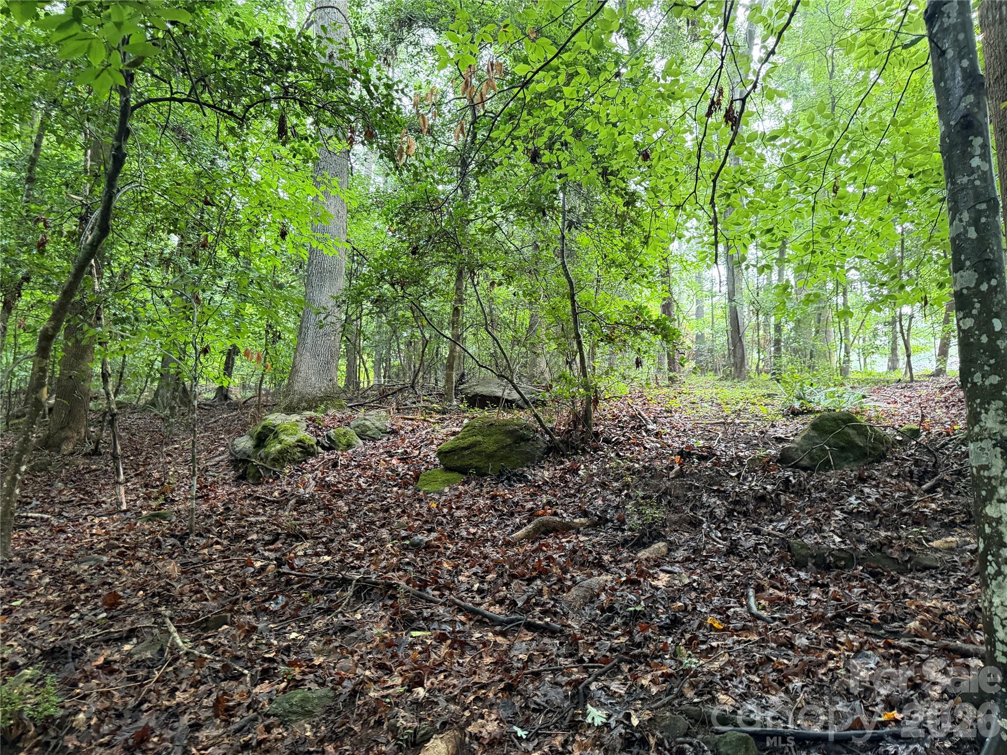 00 Whitt Road