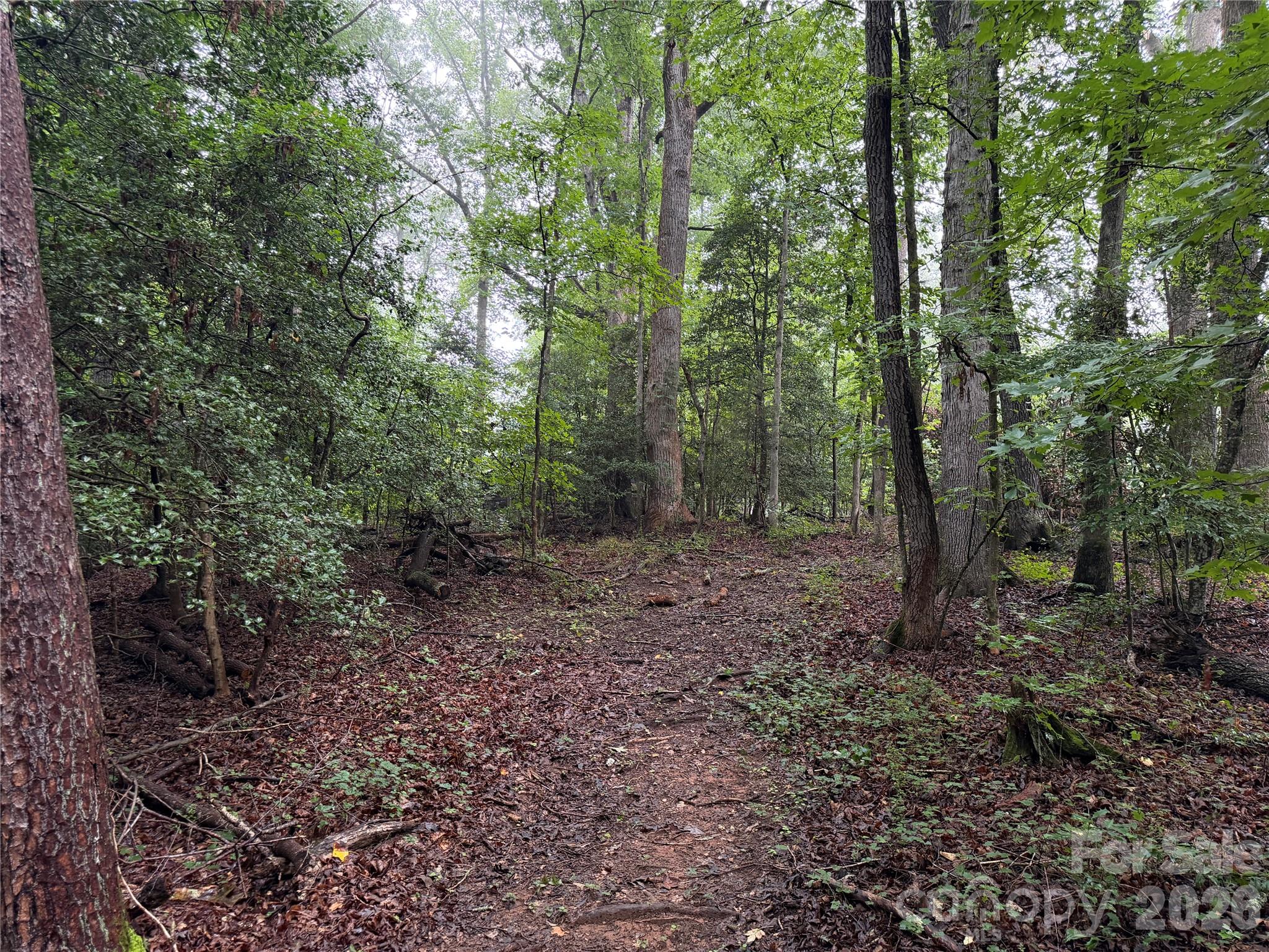 00 Whitt Road