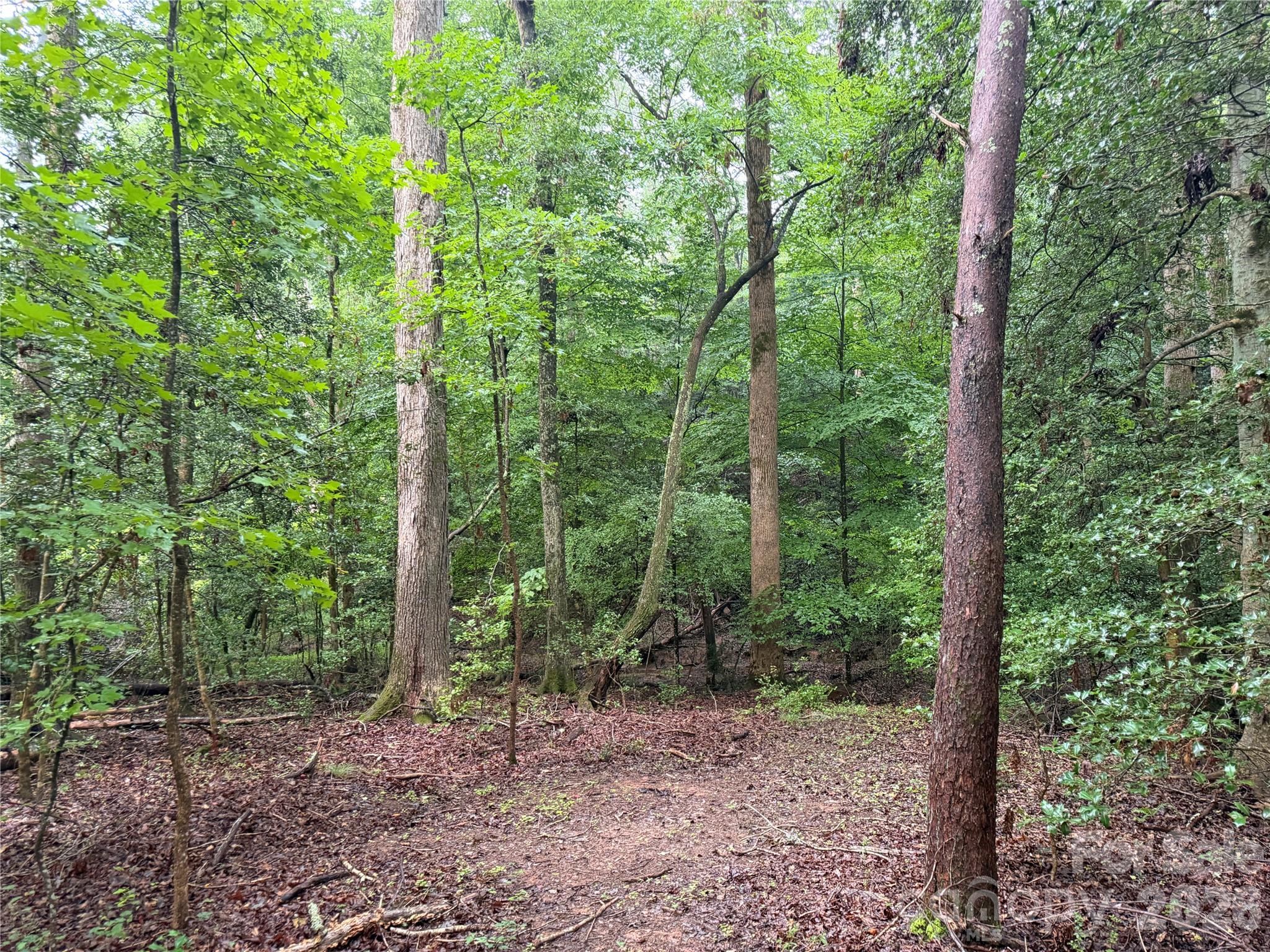 00 Whitt Road