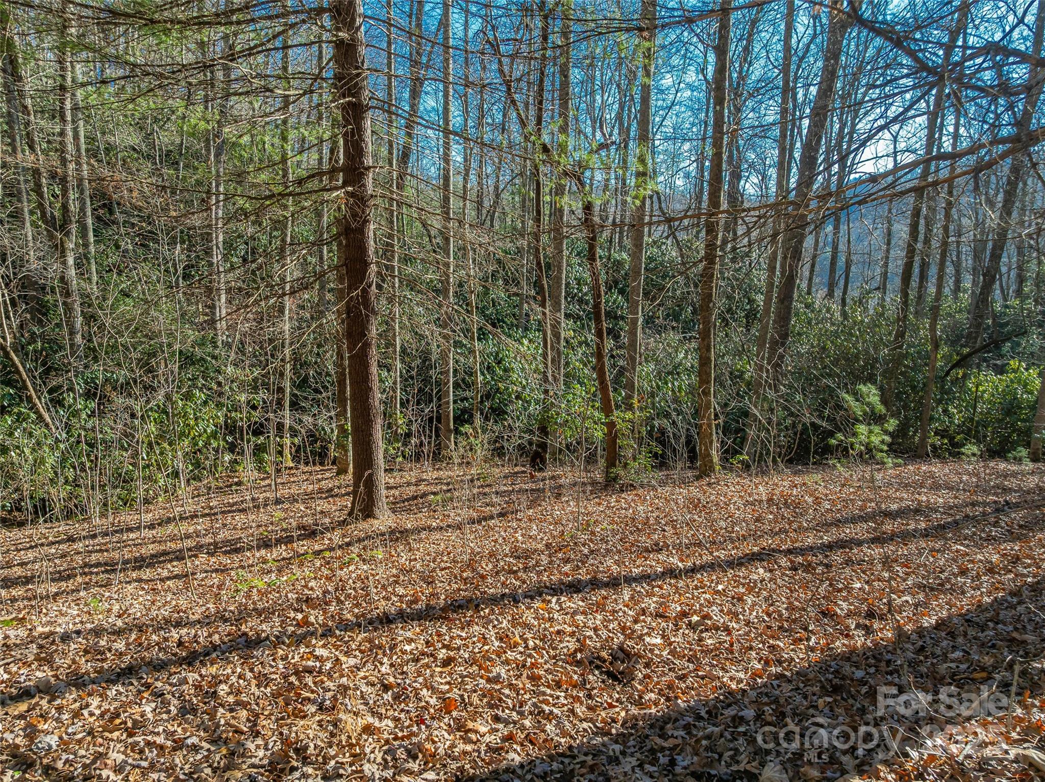 Somersby Park - Land