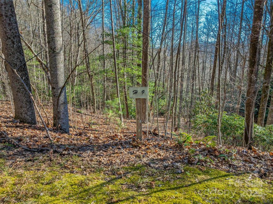 **Lot 9, Ladys Fern Trail: Your High-Elevation Mountain Sanctuary**

Seize the opportunity to build your dream home on **Lot 9, Ladys Fern Trail**, a prime NC mountain homesite within the exclusive, gated community of Somersby Park. Rising to an impressive **3,000' elevation**, the Park offers a true high-mountain experience in Laurel Park, NC. This exceptional **0.60-acre** parcel sits at 2700' for blissful summer mountain air. Lot 9 is a private, wooded homesite featuring natural outcroppings, offering a truly authentic mountain building experience. The sloped, forested nature provides excellent privacy while holding the potential for selective clearing to unveil attractive, soft mountain views of the layered Blue Ridge peaks. This blend of seclusion and scenic beauty makes it an ideal canvas for a custom residence.

**city water, natural gas, and underground utilities**, along with a community **STEP septic system** are available within the community**. The sloped topography of Lot 9, Ladys Fern Trail, is ideal for a custom walkout basement residence, allowing you to maximize natural light and capture long-range mountain views. The lot requires a minimum build size of just **1,800 square feet one story minimum**, ensuring high aesthetic standards.

Somersby Park offers nature-focused amenities, including maintained hiking trails, picturesque spring-fed streams, and cascading waterfalls. The community is located adjacent to the famous **Jump Off Rock** lookout. Convenience is paramount: you are just minutes away from the vibrant shops and cultural attractions of downtown **Hendersonville**, and the nearest Starbucks is a quick **10 to 15-minute drive** away. Lot 9 provides the ideal blend of build flexibility, premier amenities, and a coveted Western North Carolina location.