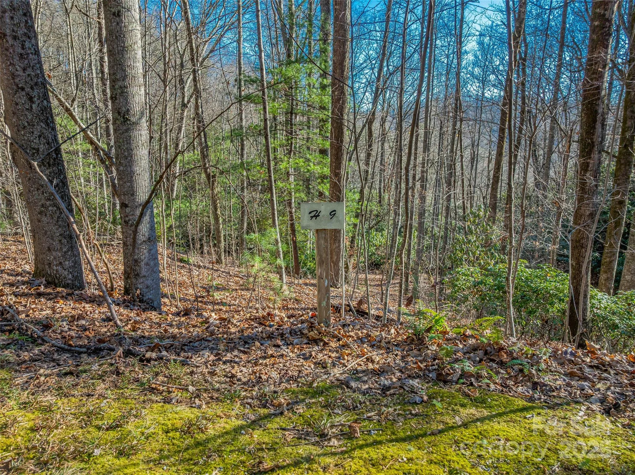TBD Ladys Fern Trail Unit 9, Laurel Park, NC, 28739