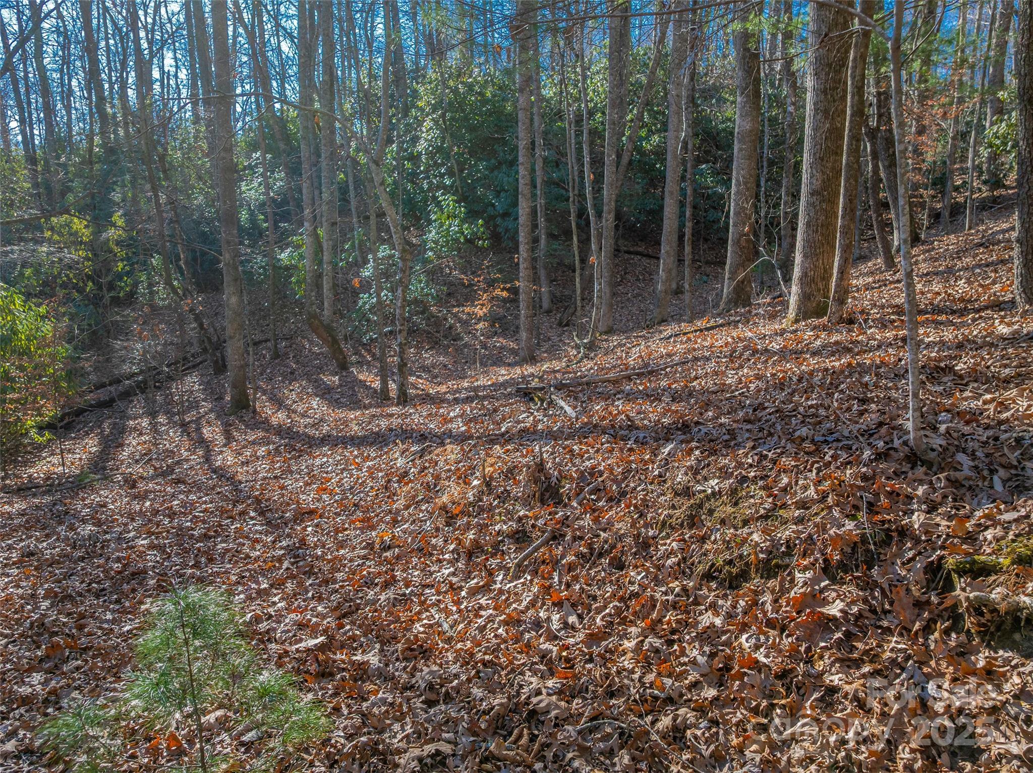 Somersby Park - Land