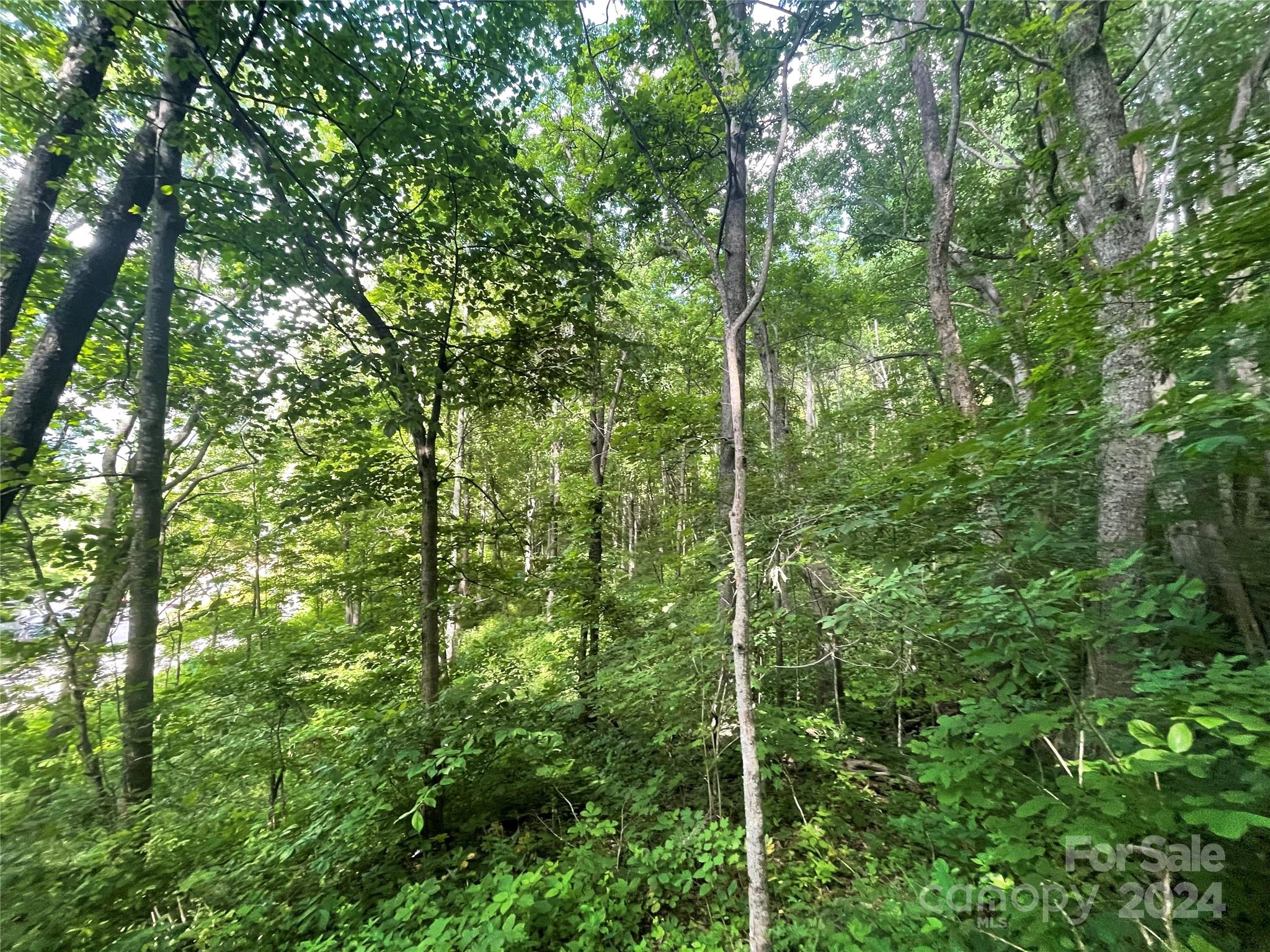 TBD Mountain Glen Road