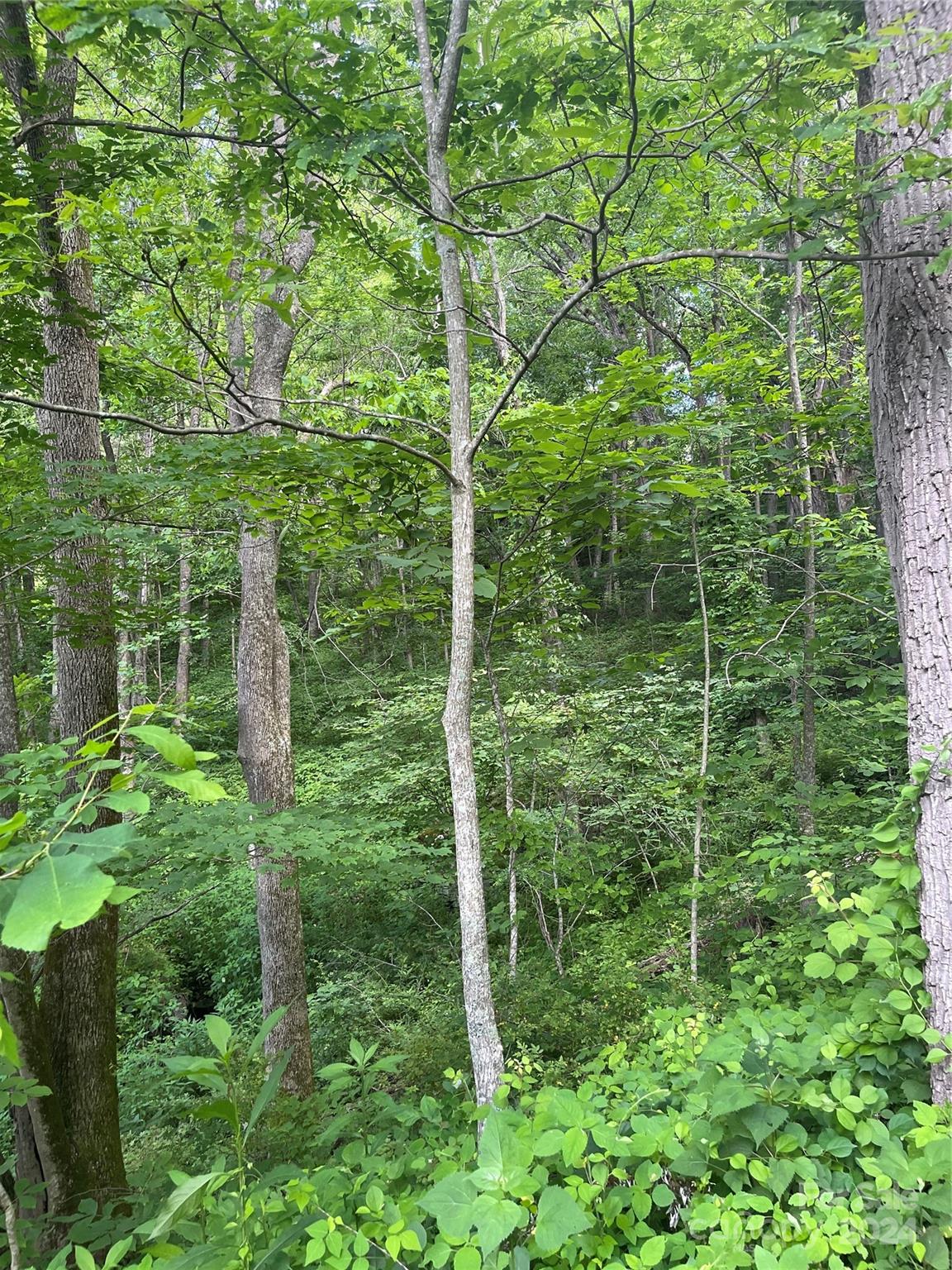 Mountain Glen - Land