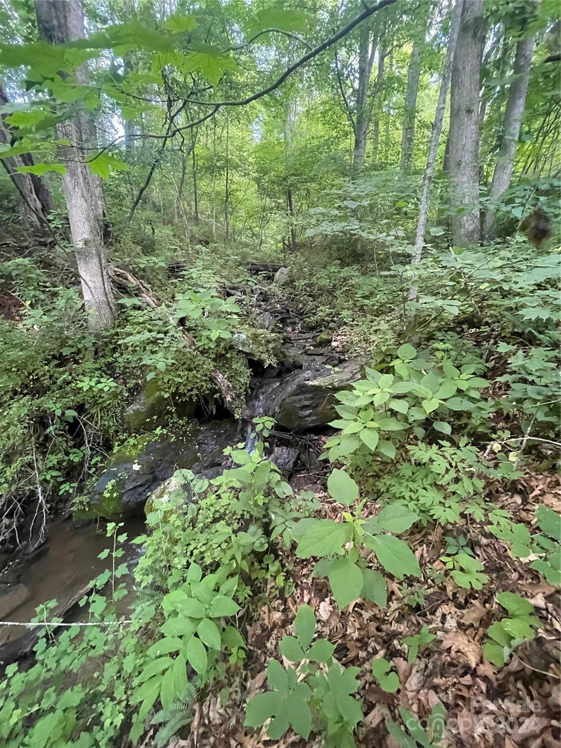 TBD Mountain Glen Road