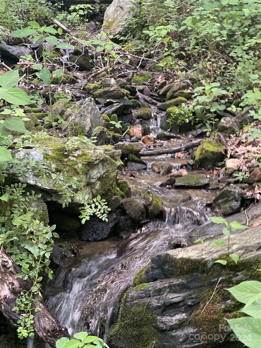 This beautiful lot is located in the beautiful Cruso community.  Perched on a mountain the woods and the creek add to the mountain feel.  With a road on each side there is opportunity for multiple access points.  Convenient to Canton and just a short drive up to the Blue Ridge Parkway!