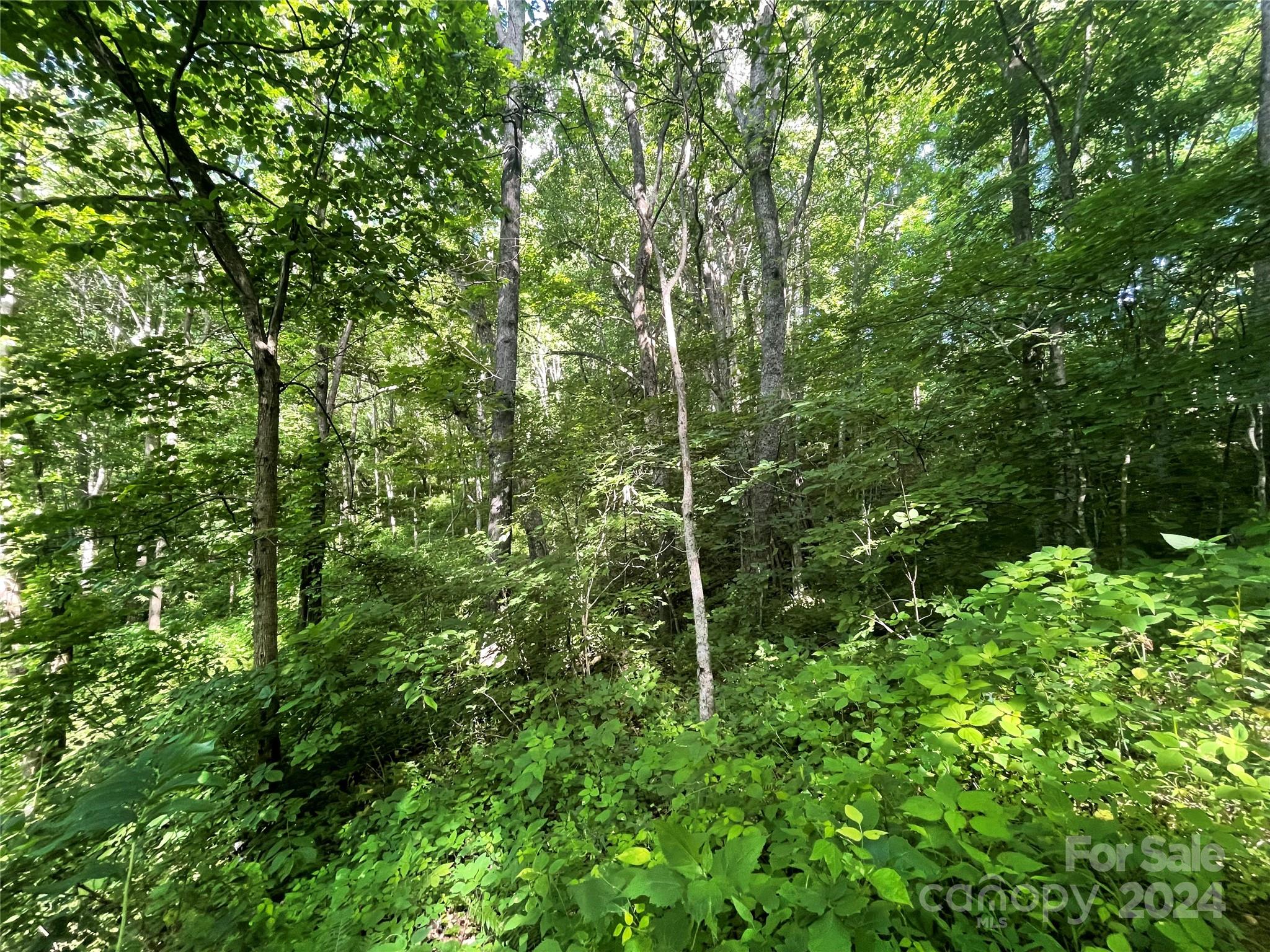 TBD Mountain Glen Road