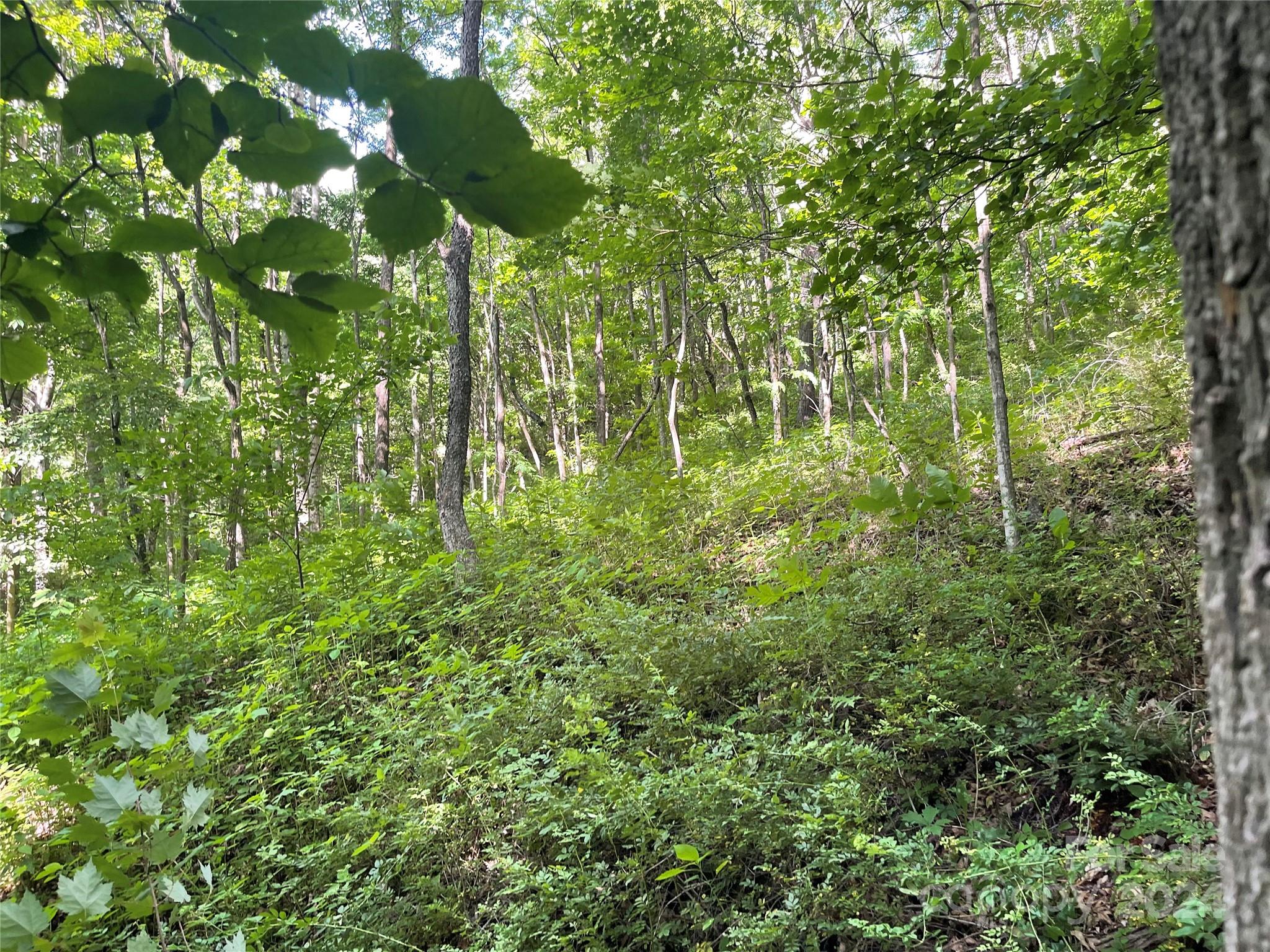 Mountain Glen - Land