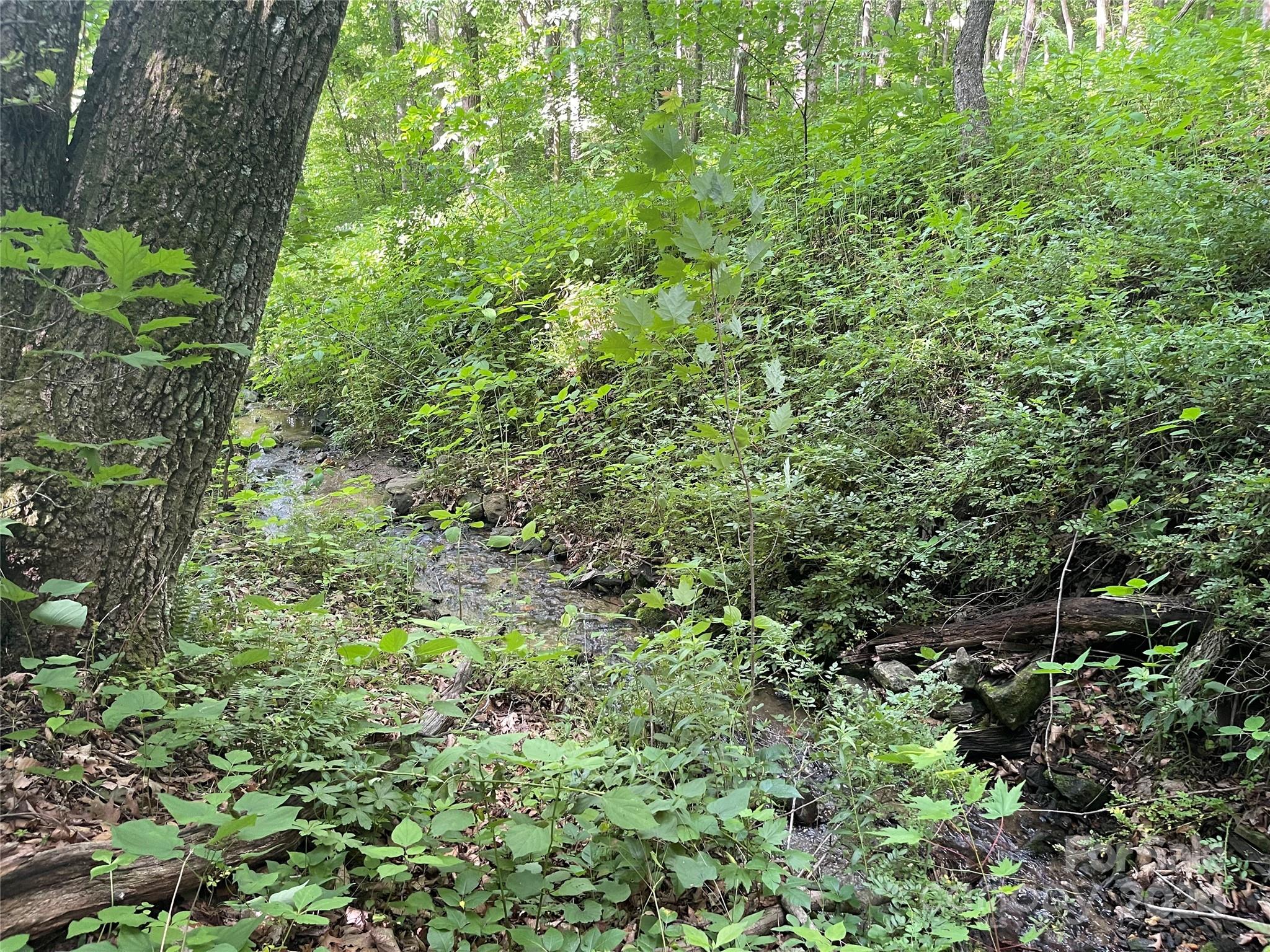 TBD Mountain Glen Road