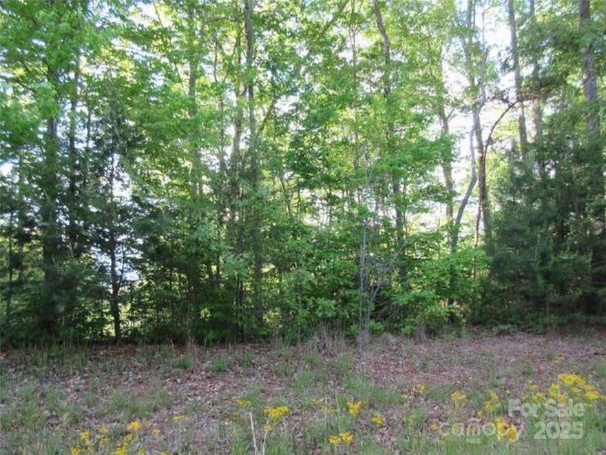 Back on the market, no fault of sellers or the property. Looking to build your mountain home? Consider Mountain Laurel Estates, a quiet gated community in Mill Spring, NC. The neighborhood is very close to Lake Lure, Ingles Markets and all that the area offers. It is also approx. 10-15 minutes from the Tryon International Equestrian Center. This lot has great year round mountain views and a creek along the border! Schedule your private viewing of this nice subdivision today.