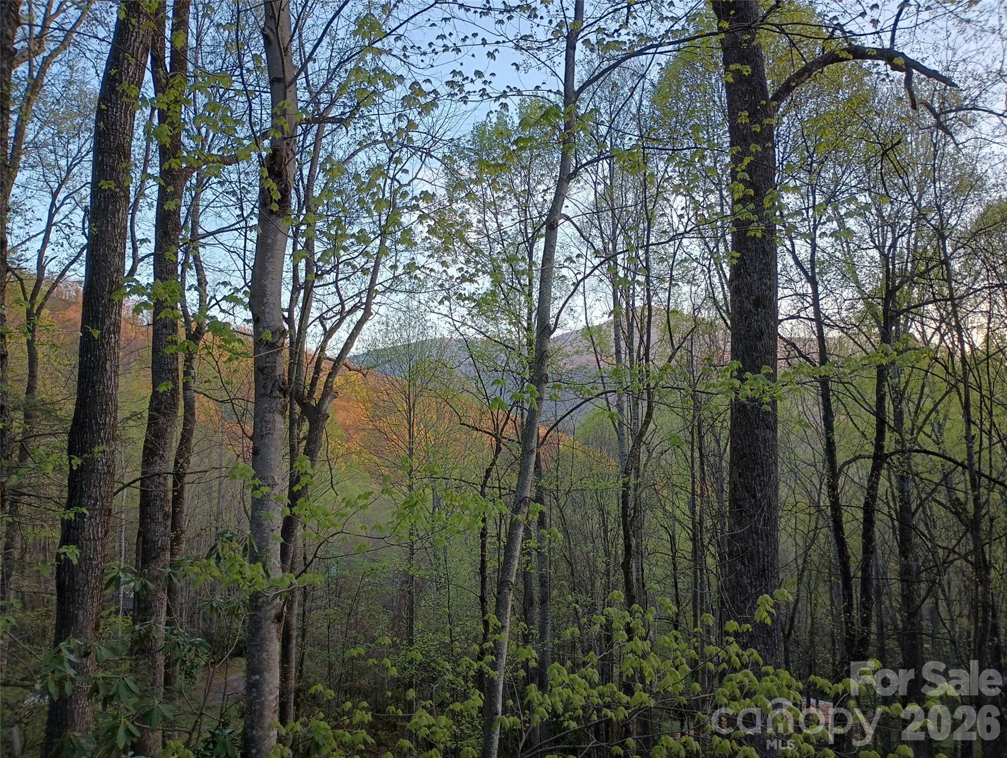 Maggie Valley Leisure Estates - Residential