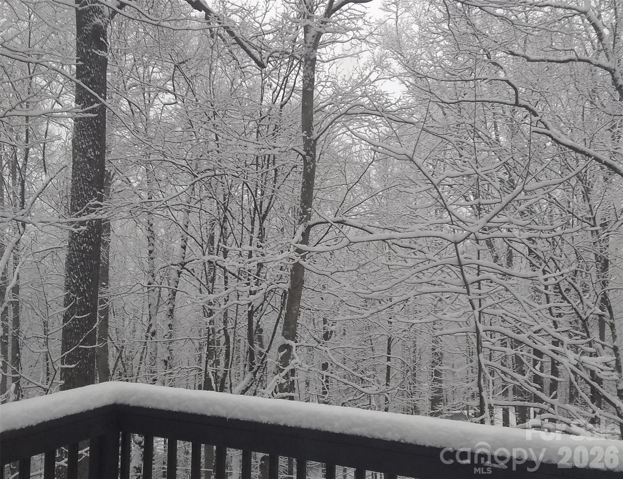 Maggie Valley Leisure Estates - Residential