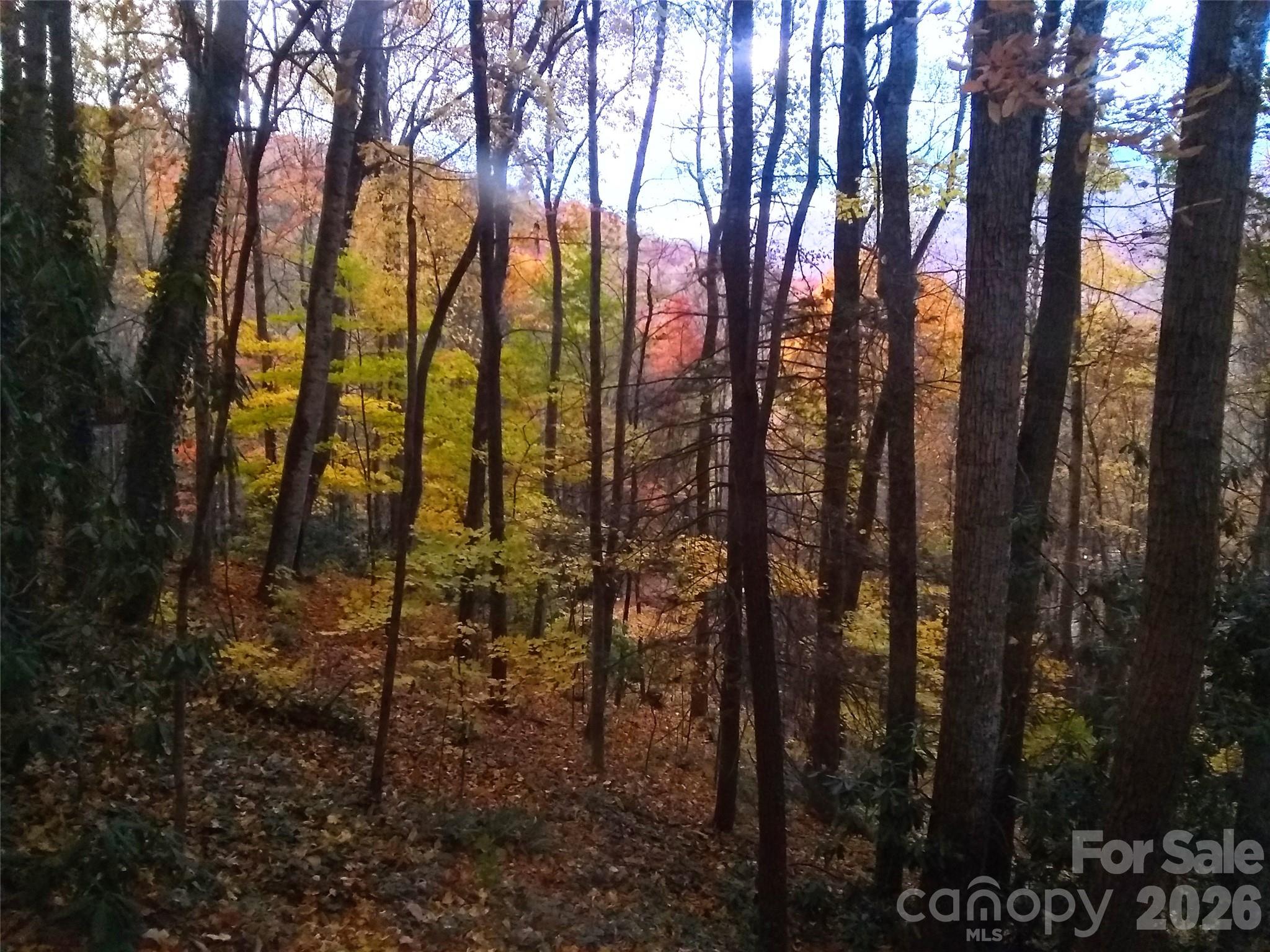 Maggie Valley Leisure Estates - Residential