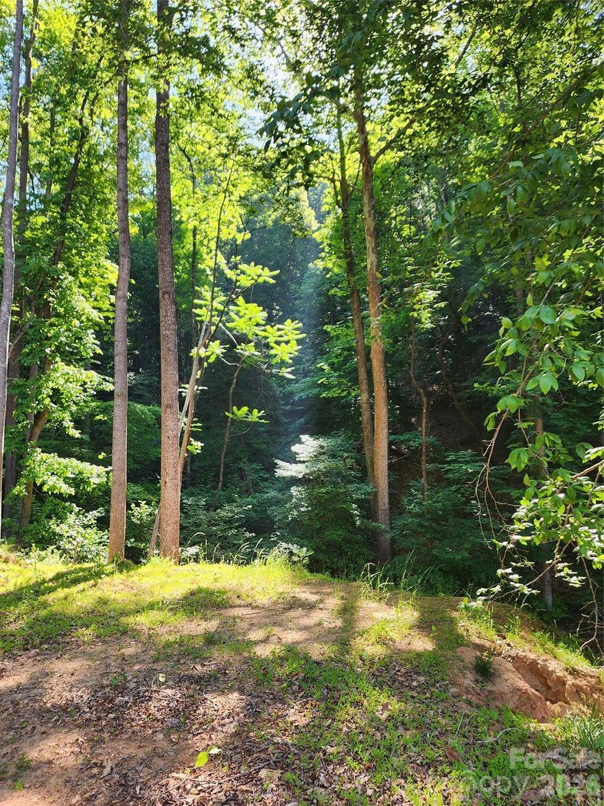 Located in the beautiful Sugarloaf community of Alexander County, this ±8.1 acre wooded retreat offers the a mix of privacy, adventure, and opportunity. Featuring two tax parcels, this acreage is improved with a gated driveway and graded homesite, giving you a head start on building your dream cabin, mountain getaway, or forever home.

Explore the established trails winding through the mountainside to the top of the ridge, where breathtaking views and unforgettable wildlife moments await — including the spot where the featured bear photos were taken. Deer, turkey, and abundant natural beauty make this a true outdoor paradise. Whether you’re searching for hunting land, a private homesite, or simply a peaceful escape in the woods, this property delivers the seclusion and mountain lifestyle you’ve been looking for.

If you’ve been dreaming of owning your own slice of the North Carolina foothills, this could be the land for you.
