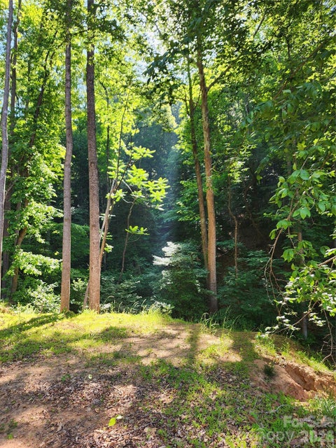 Photo of TBD Boone Gap Lane, Taylorsville, NC 28681 (MLS # 4385912)