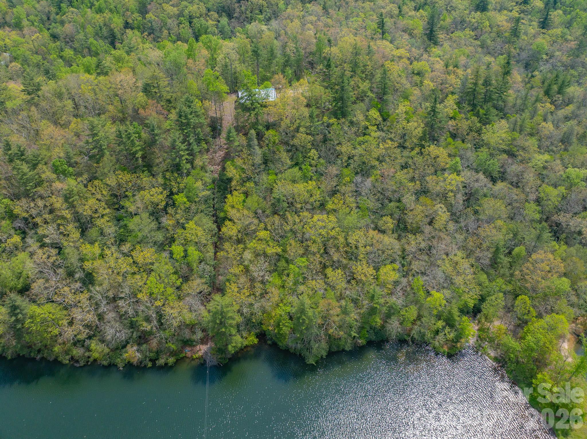 Swiss Pine Lake - Residential