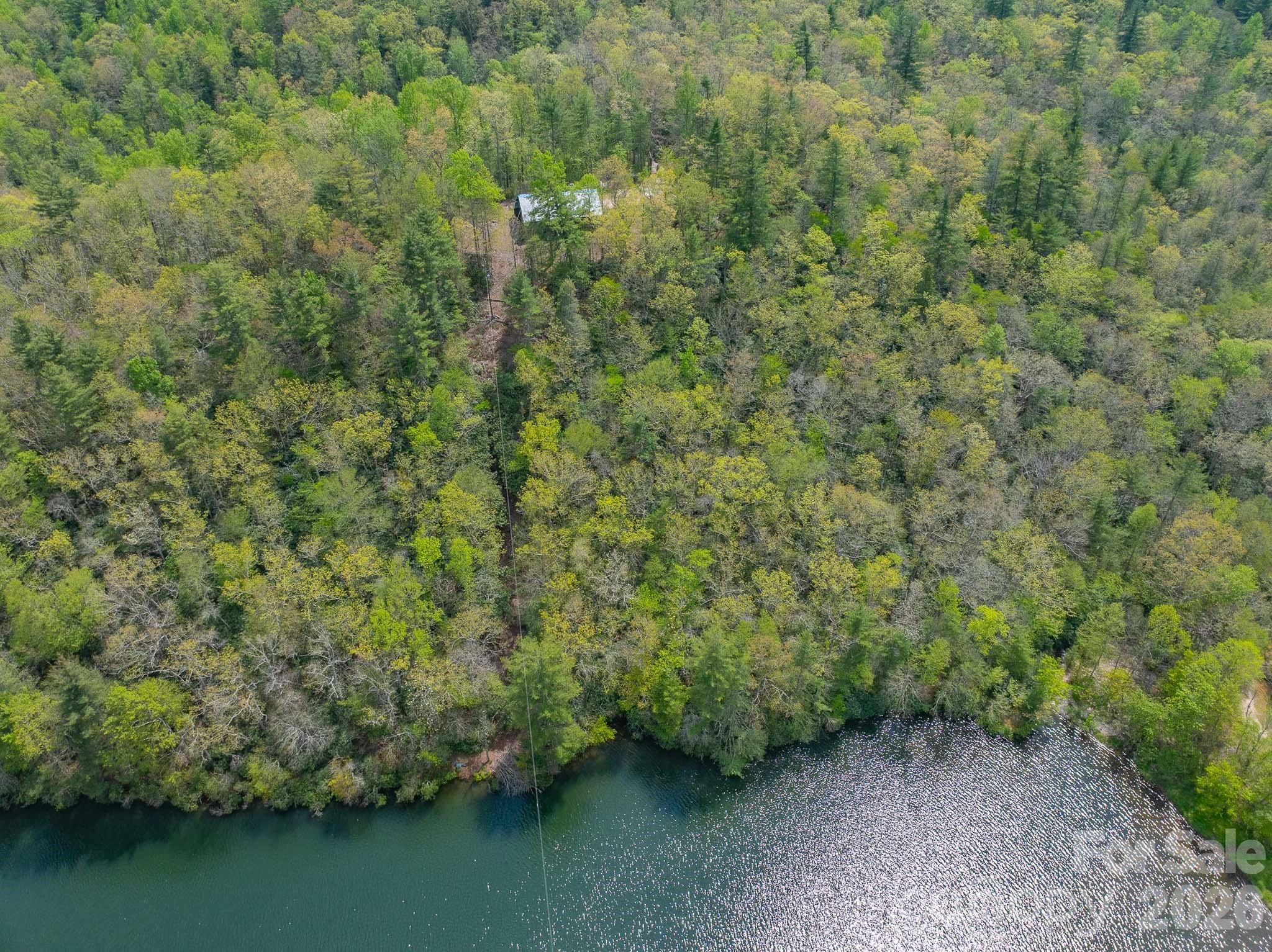 Swiss Pine Lake - Residential