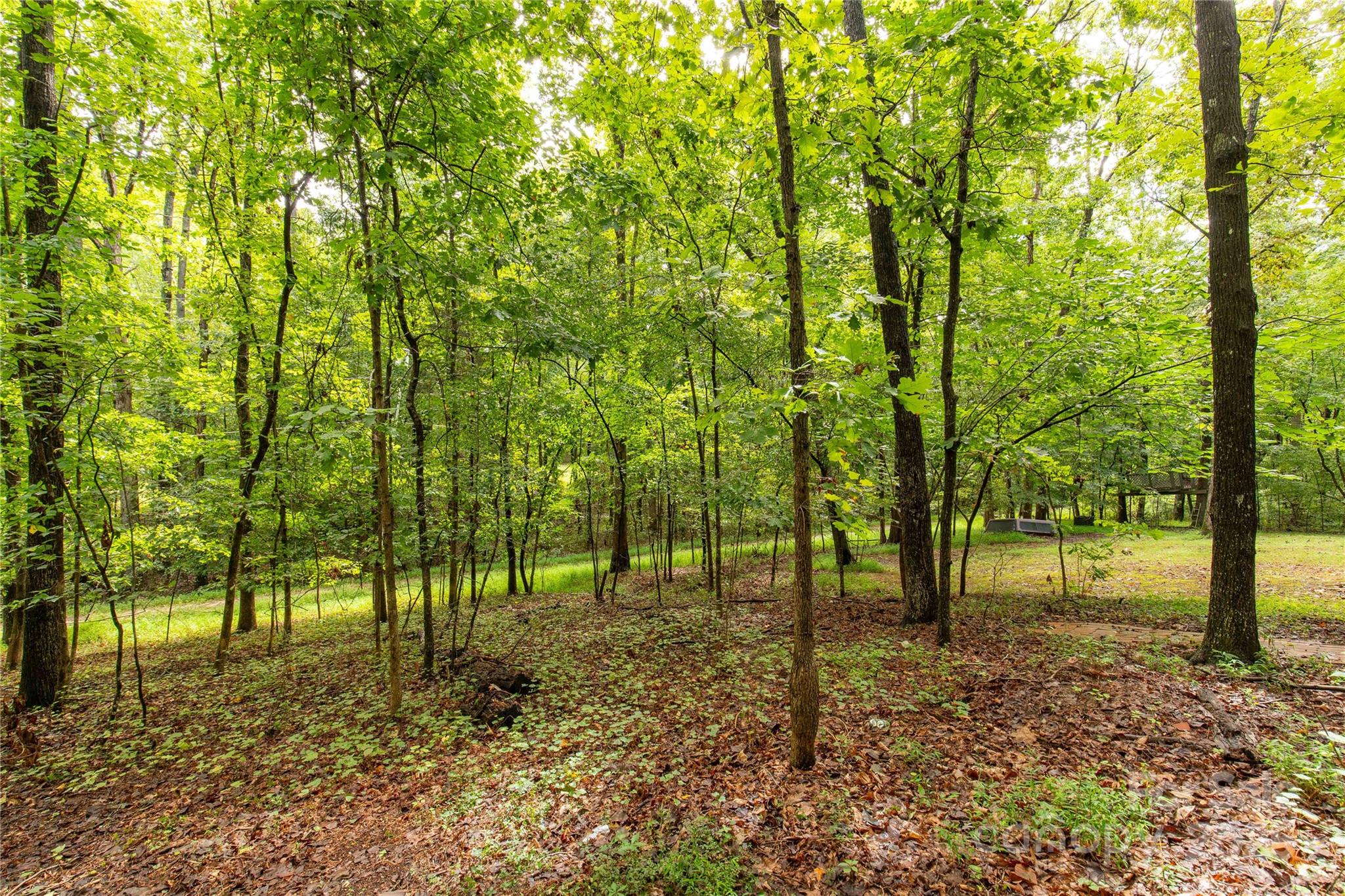 Black Horse Run - Residential