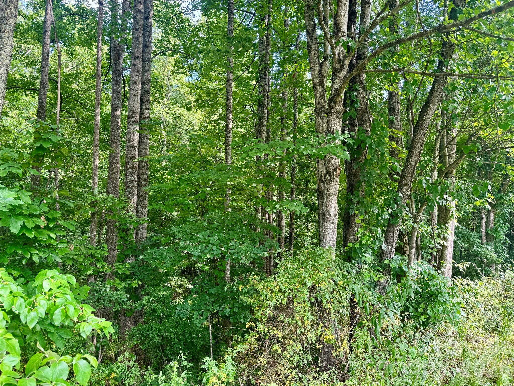 2874 Huffman Road