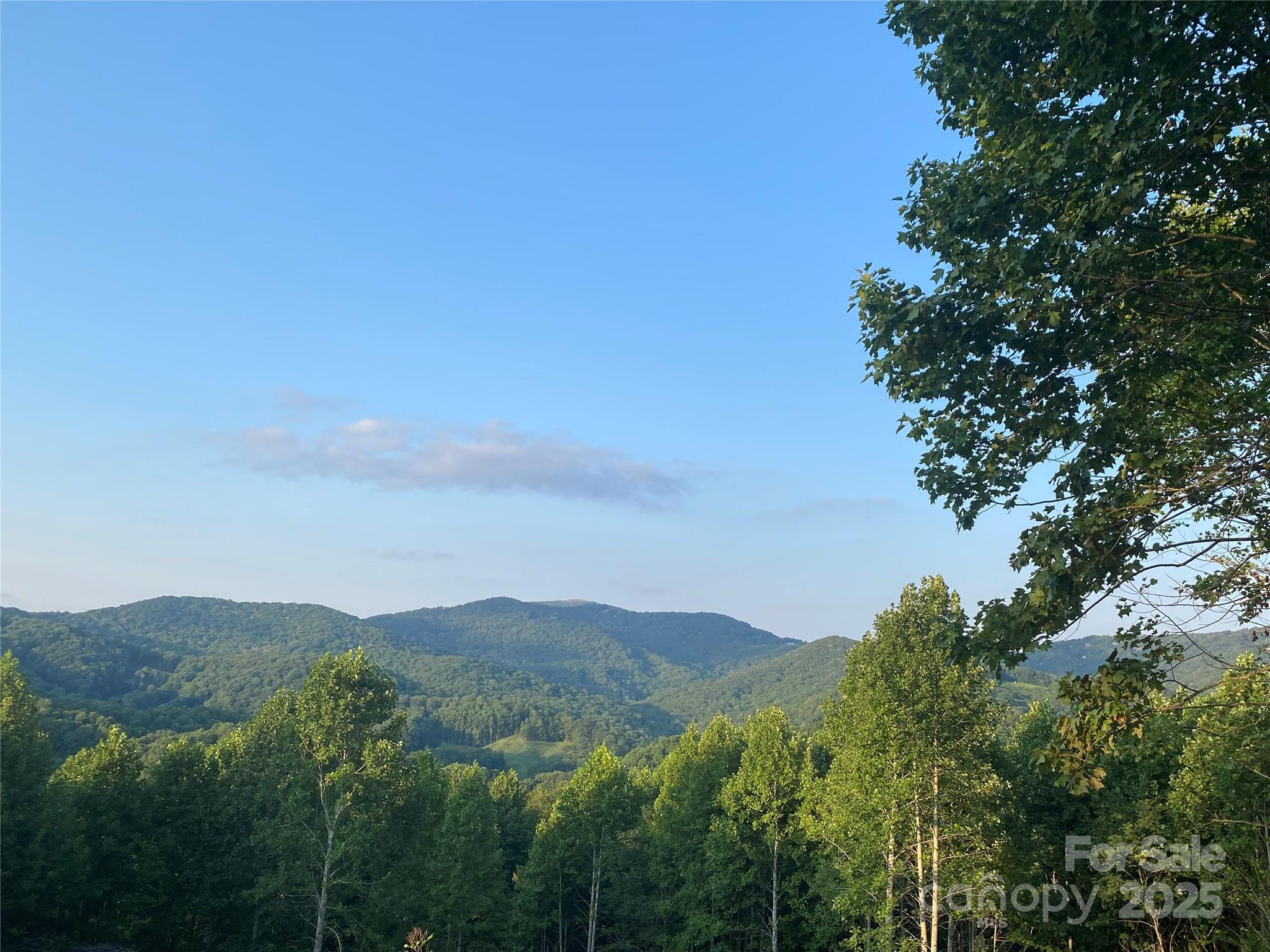 TBD Smith Creek Road