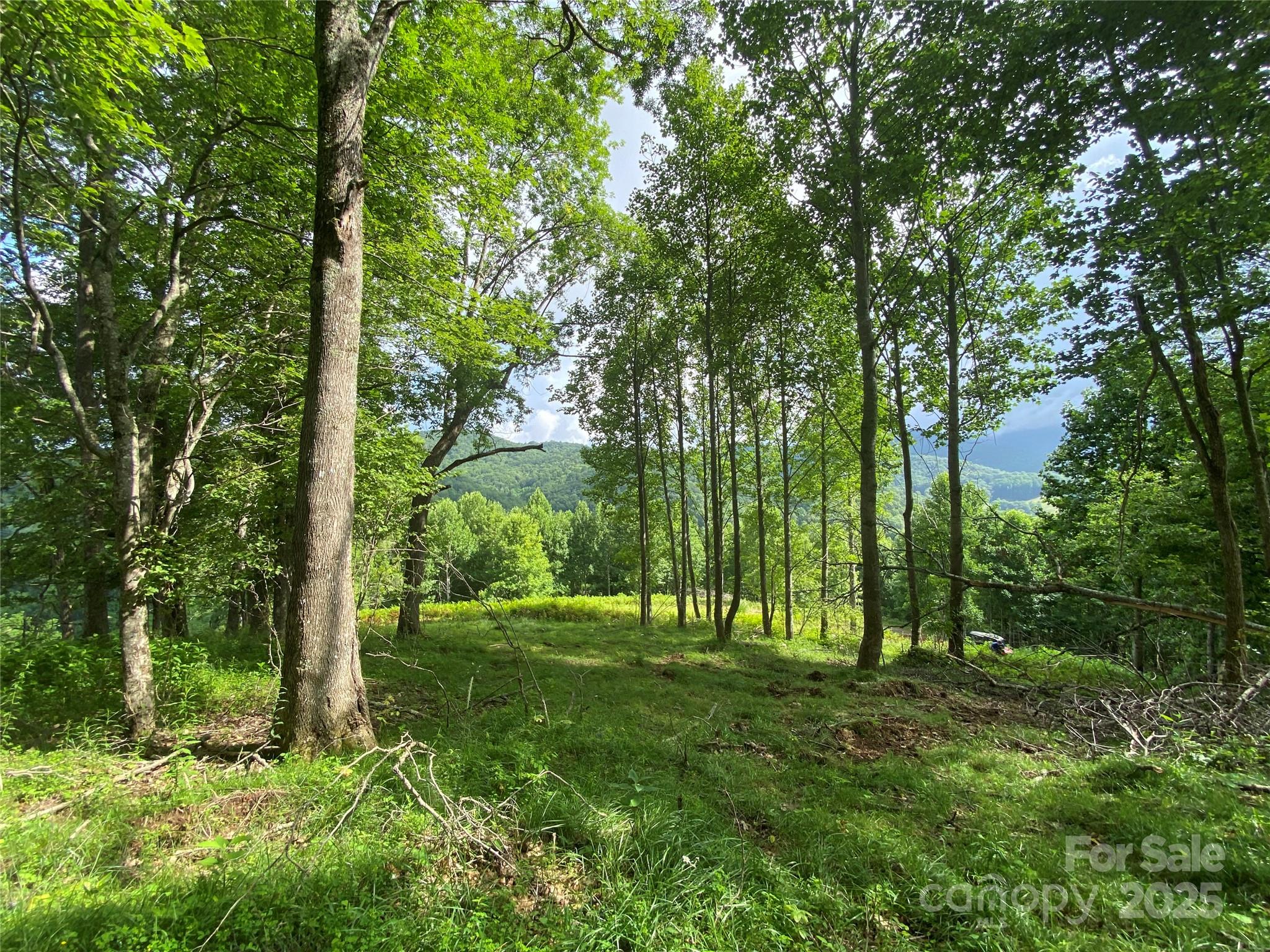 TBD Smith Creek Road