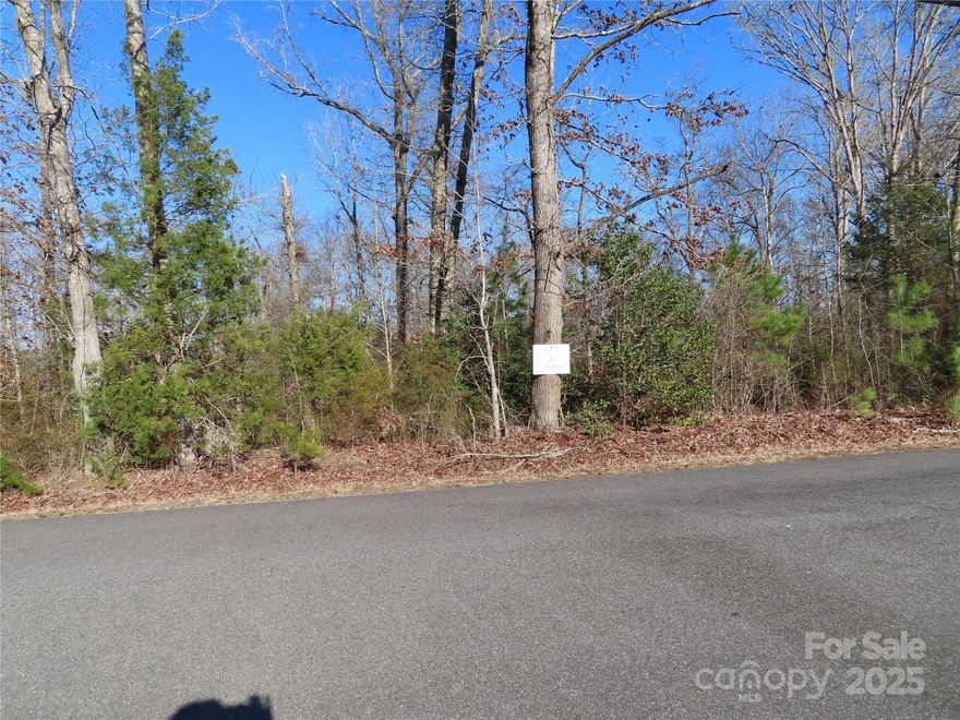 Looking for land? this 15.89 acre tract is located about 3 miles from I-77. Easy commute to Charlotte or Columbia. Deed restricted to no mobiles or modular homes. From Rock Hill or I-77 take hwy 901 East from I-77 about 2 miles and turn left on Neely Creek Road and then turn right on Winter Road. The lot is on the left.