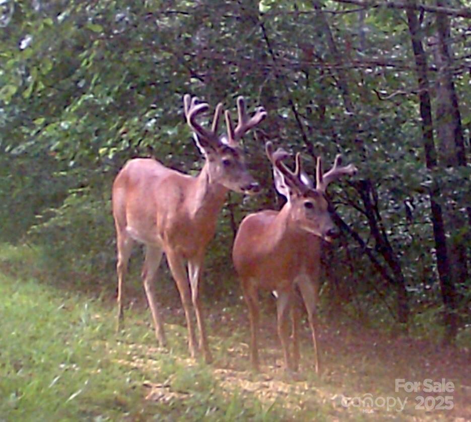 Green River Highlands - Residential