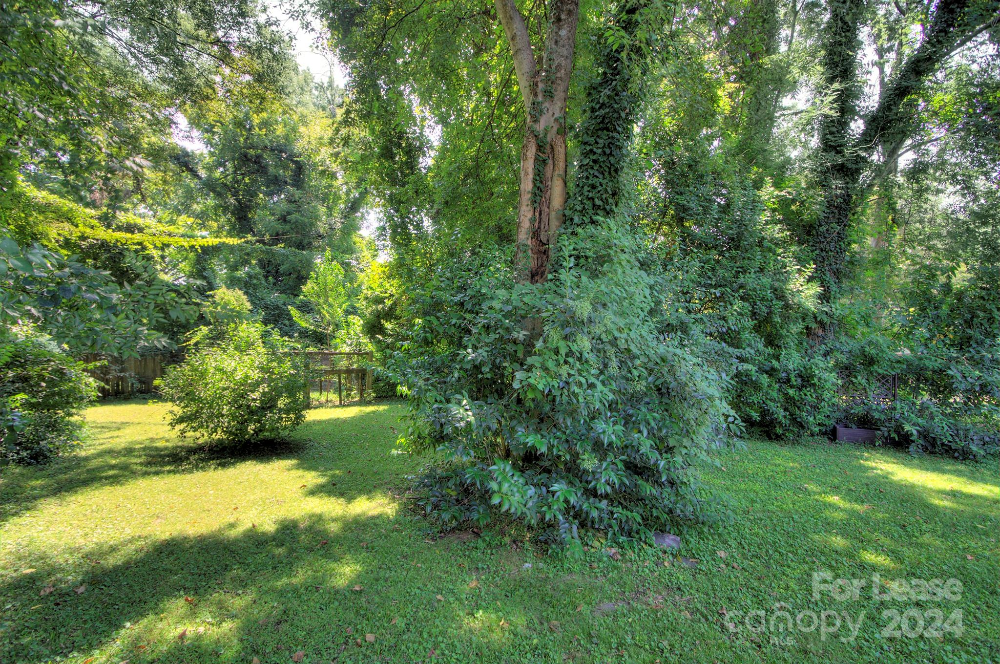 Wesley Heights - Residential Lease