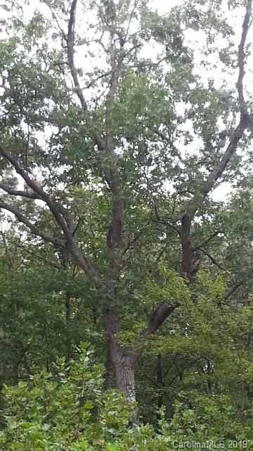 The Meadows at Lake James Station - Commercial Sale