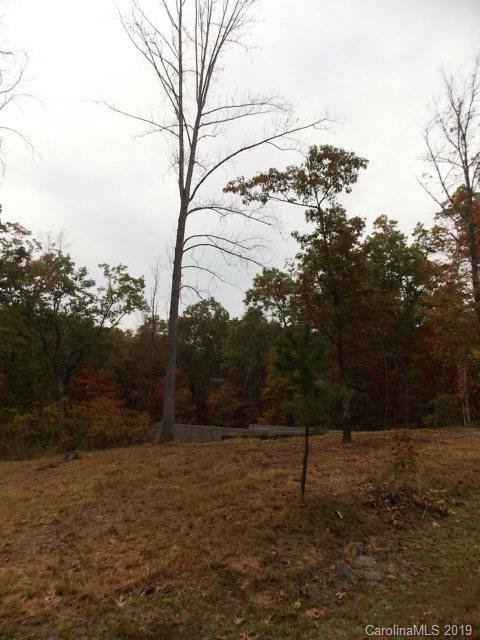 The Meadows at Lake James Station - Commercial Sale