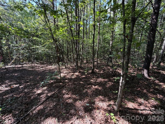 278 SOUTHERN WAY, NEBO, NC 28761 - Image d7086b8153e384e4d4b782d30b6edfea/1642996886