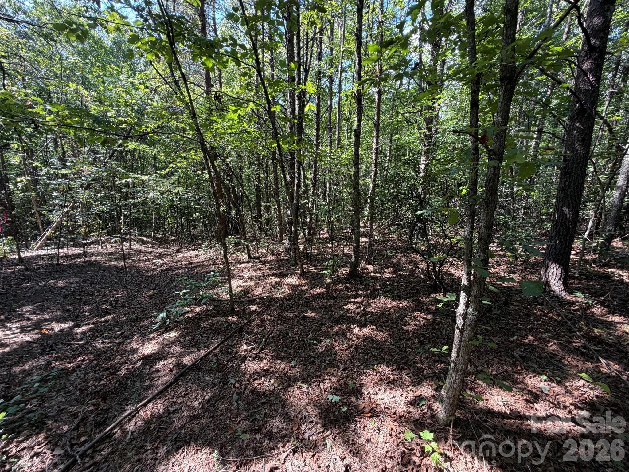 476 Southern Way, Nebo, NC, 28761