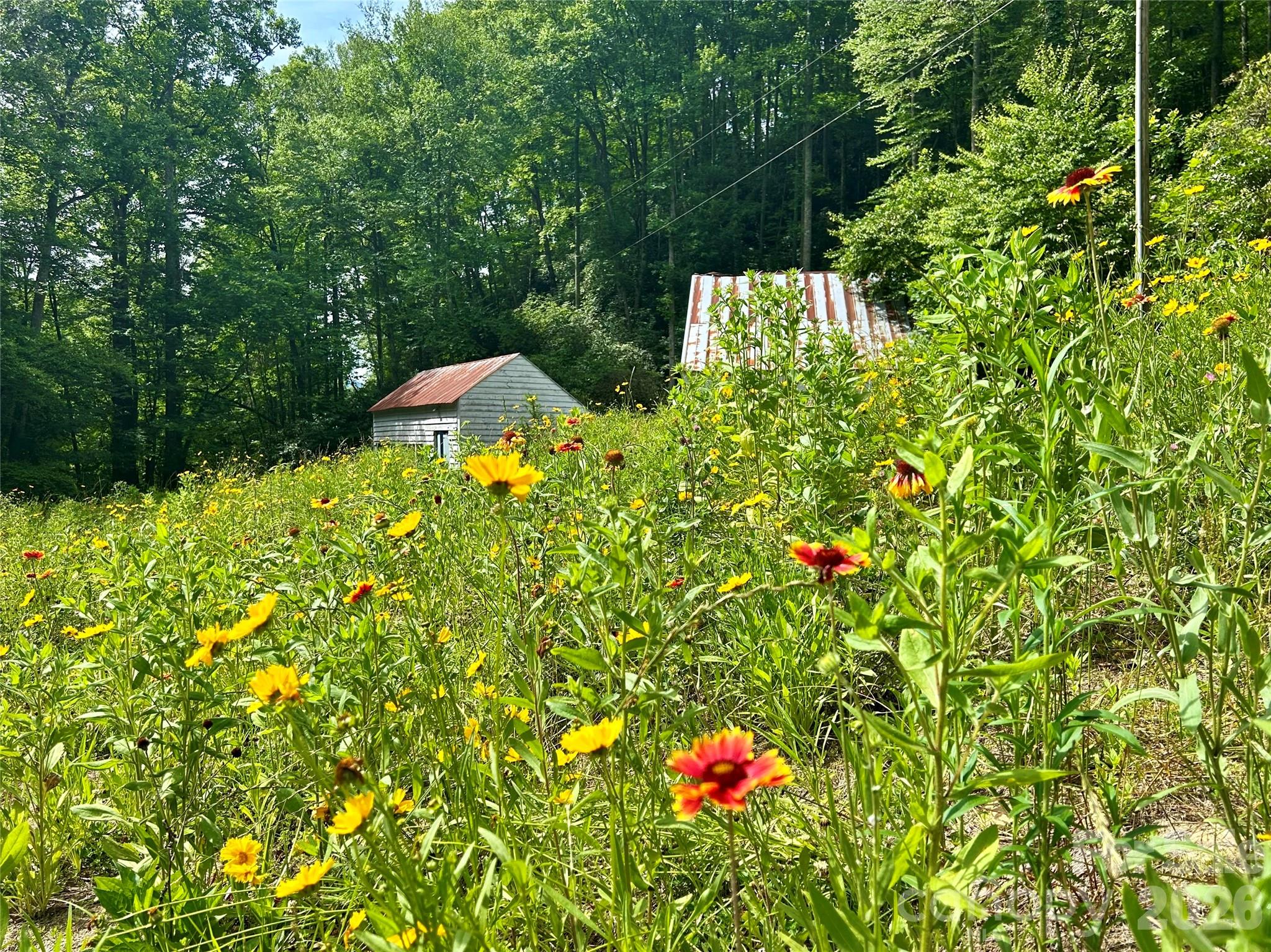 204 Rush Creek Road