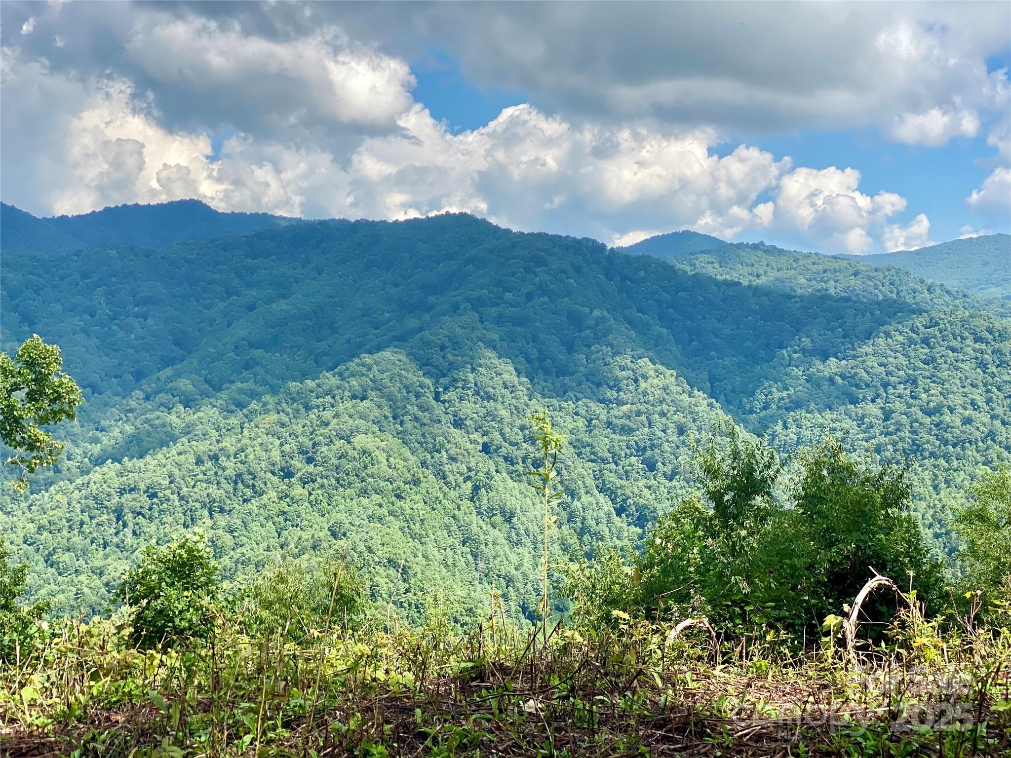 7858 Big Laurel Road