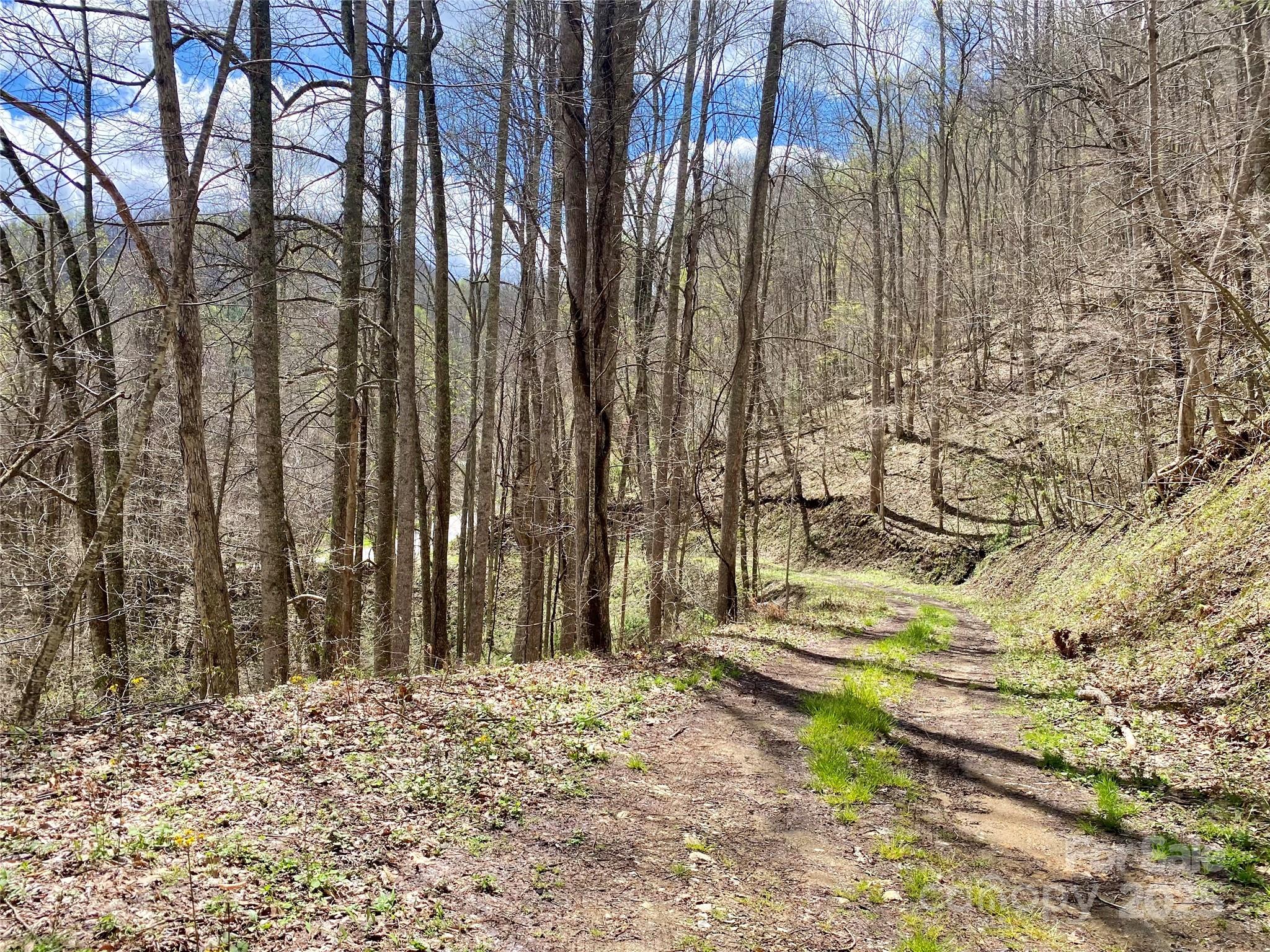 7858 Big Laurel Road