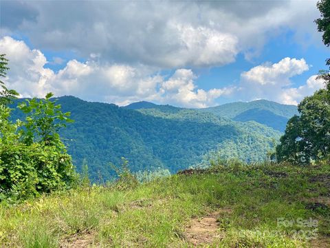 Photo of 7858 Big Laurel Road, Marshall, NC 28753 (MLS # 4327423)