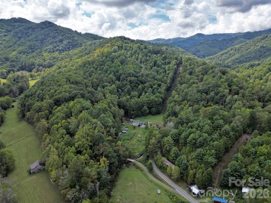 Escape to nearly 80 acres of stunning, versatile land, offering endless possibilities for your vision. Whether you’re seeking a private estate or recreational retreat, this expansive property provides the perfect canvas. Featuring frontage on the Big Pine Creek, the parcel is primarily wooded with rolling terrain. It offers both beauty and  peaceful seclusion with easy access off Big Pine Road. Abundant wildlife, scenic views, and a range of potential uses make this a rare opportunity. Listing agent related to seller so call your favorite agent to schedule a tour today and discover the potential of 7385 Big Pine Road!