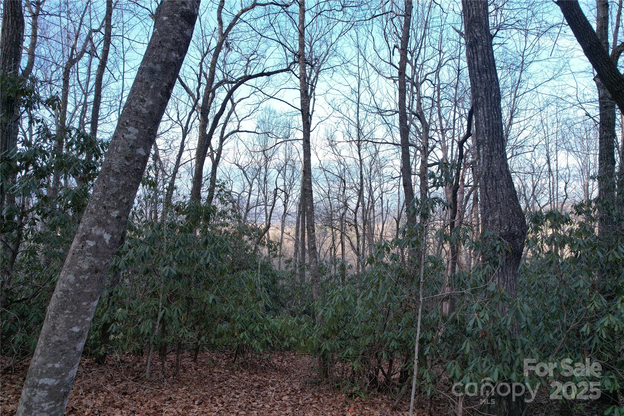 TR-17 Double Falls Road 17