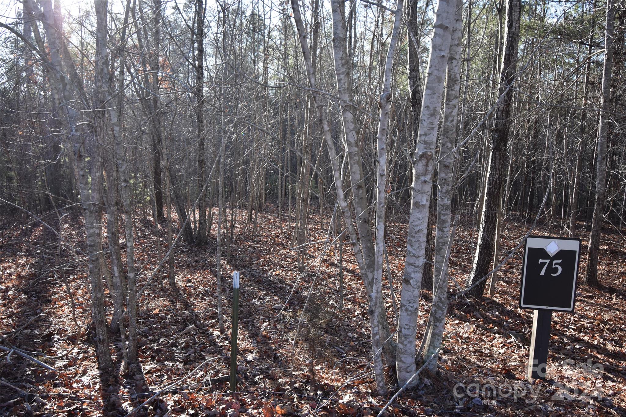 Blackberry Creek - Land