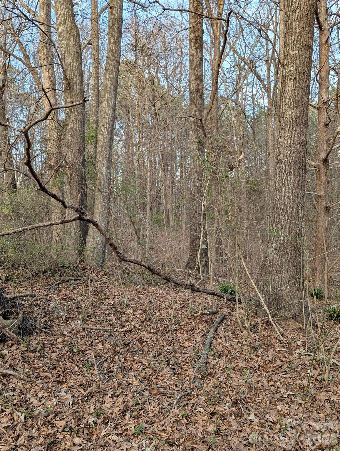 Moss Creek - Residential