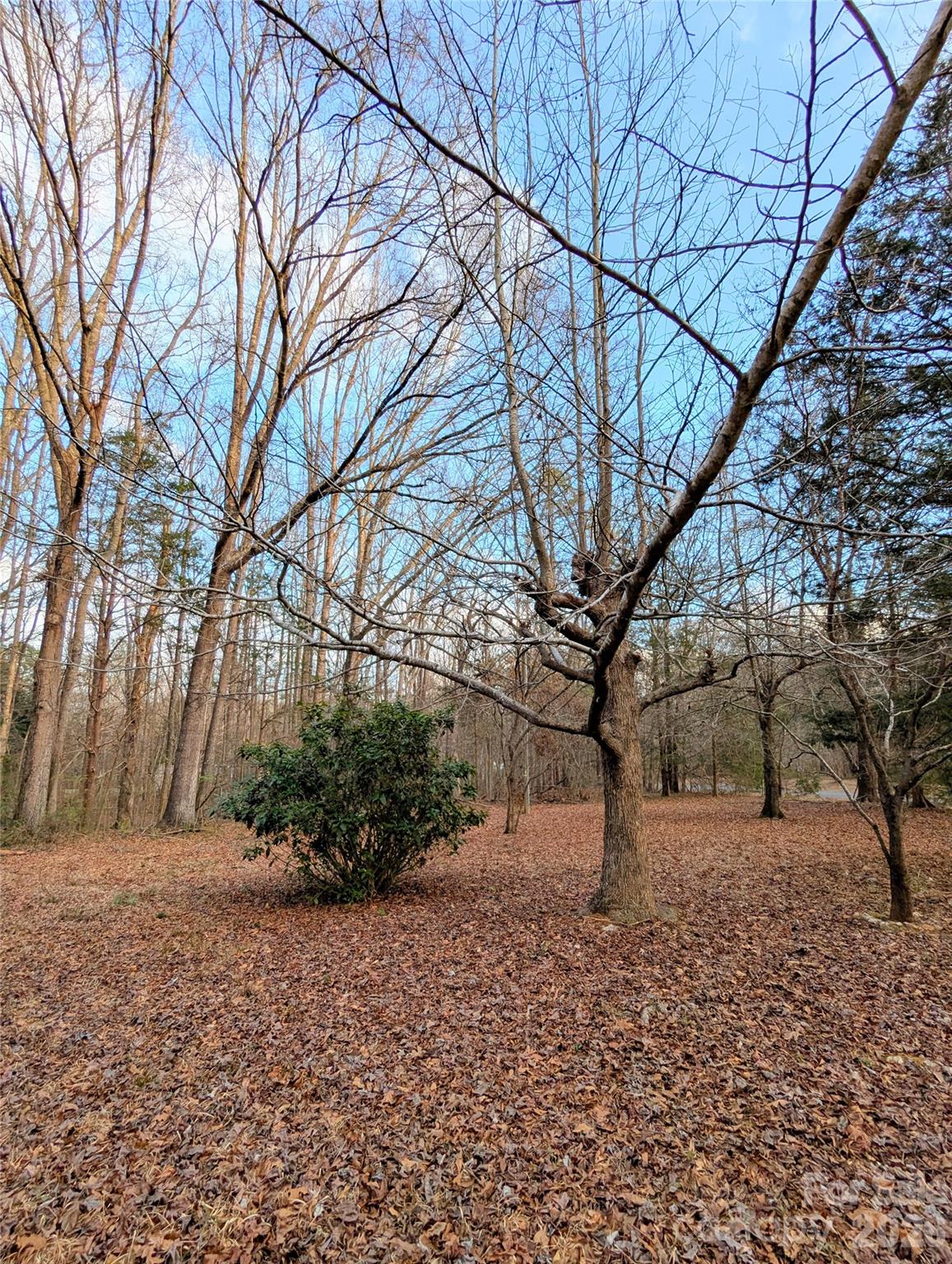 Moss Creek - Residential