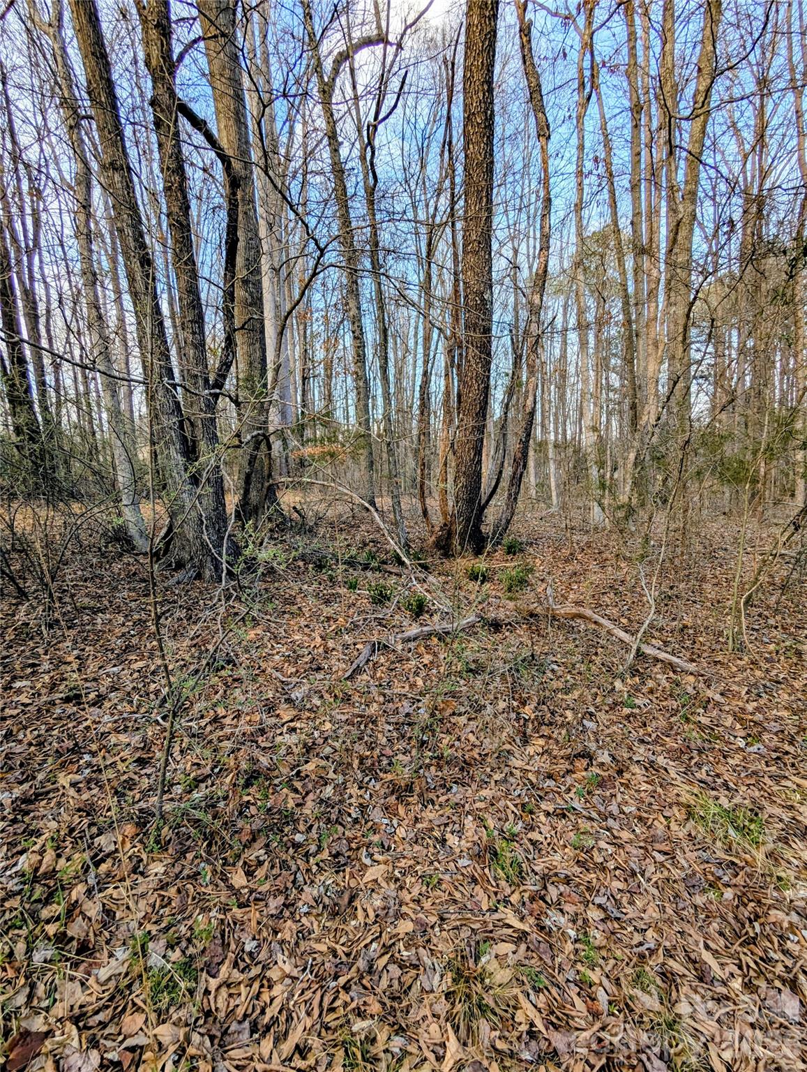 Moss Creek - Residential