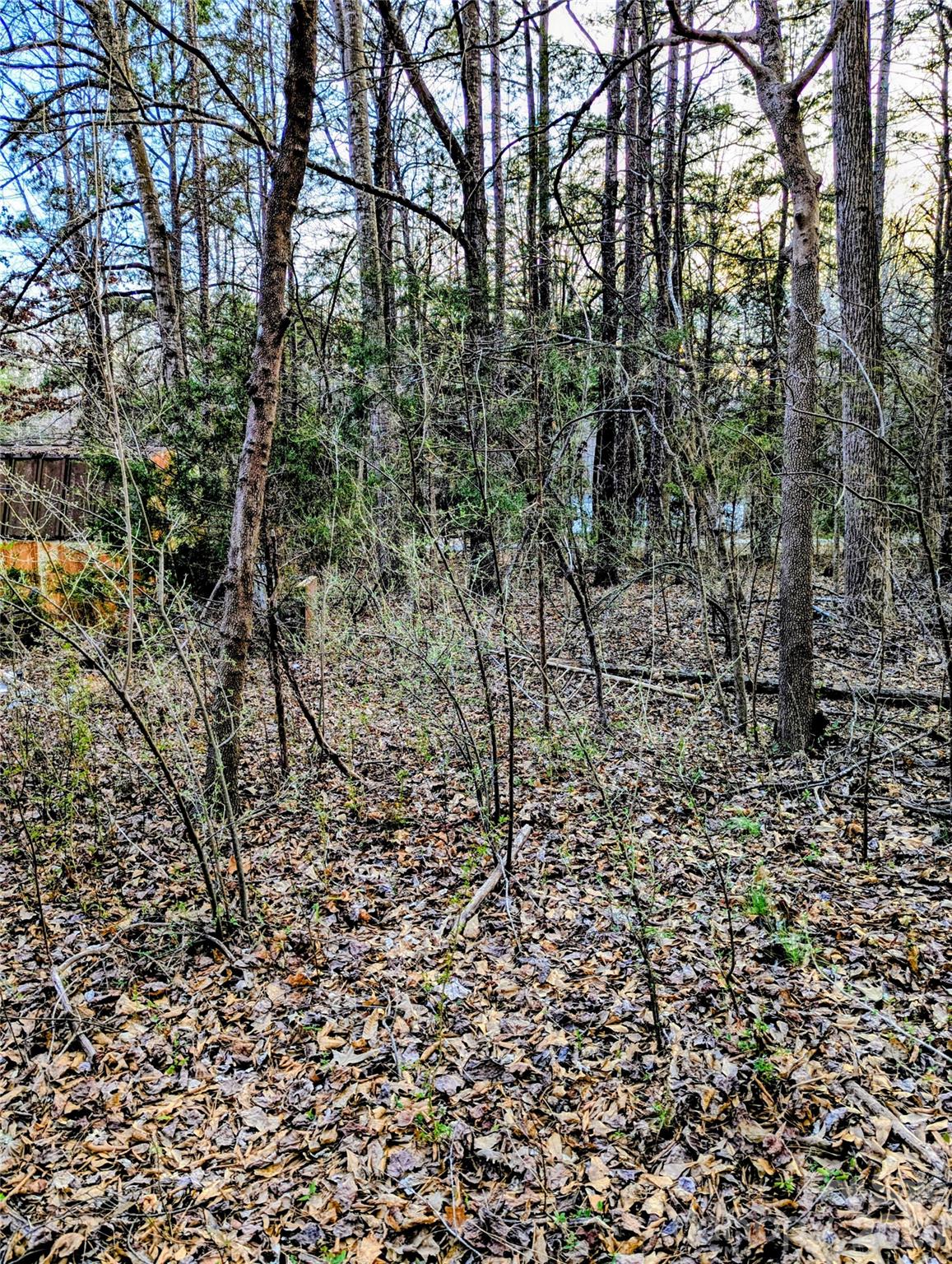 Moss Creek - Residential