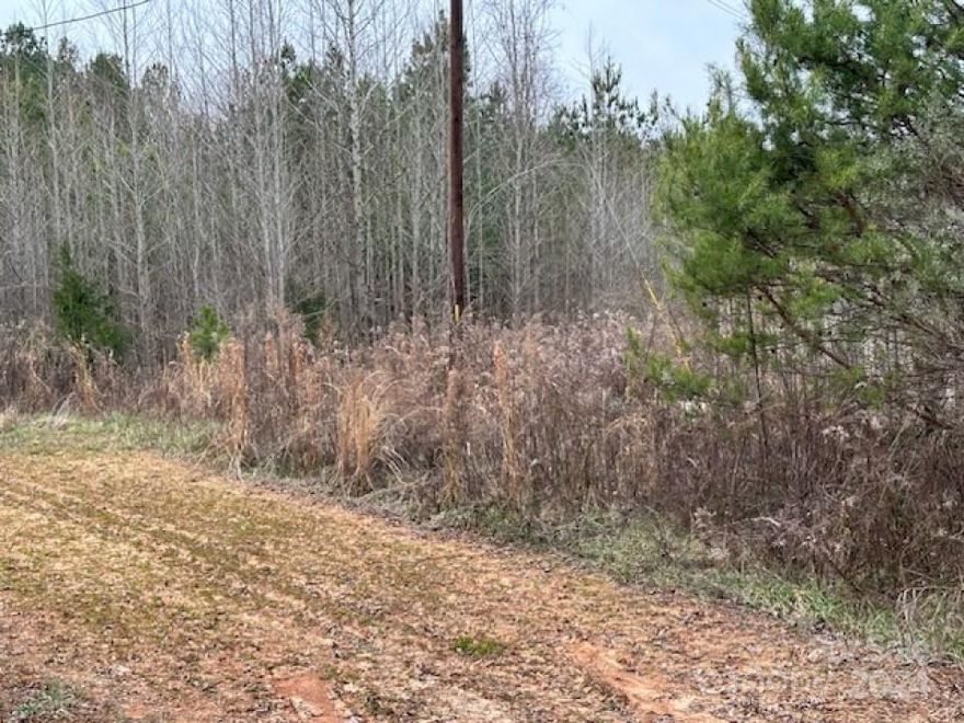 Discover the perfect canvas for your dream home on this 1.52-acre residential lot. With a dedicated well, 2 septic systems, and a prime location near highways, cafes, and restaurants, this property seamlessly combines convenience and tranquility. This rare opportunity offers a blend of size, amenities, and accessibility. Don't miss the chance to build your dream home in this serene yet conveniently located property. Mobile home doesn't exist/ needs to be torn down and this is being sold as land.