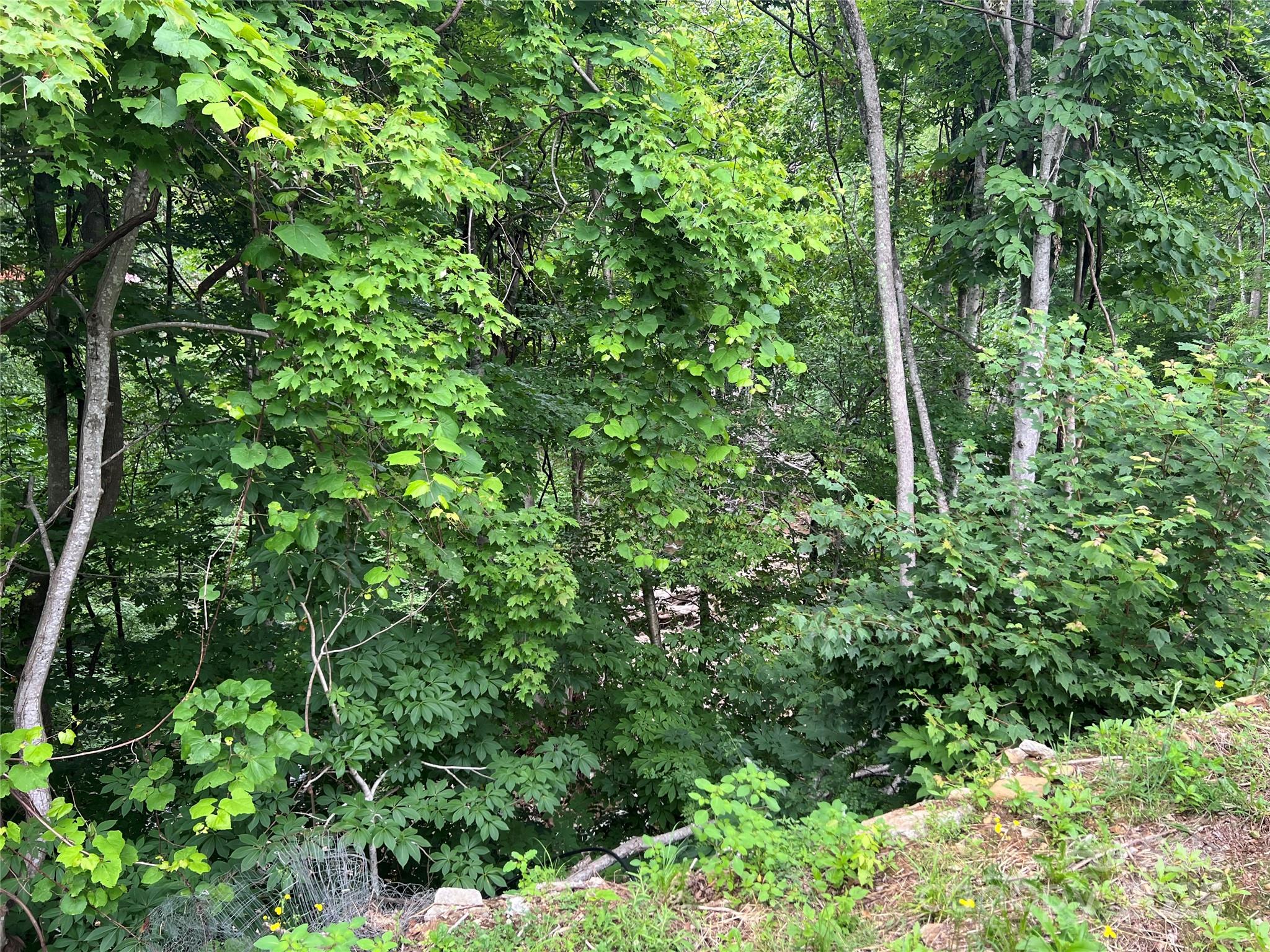 988 N Fork Road